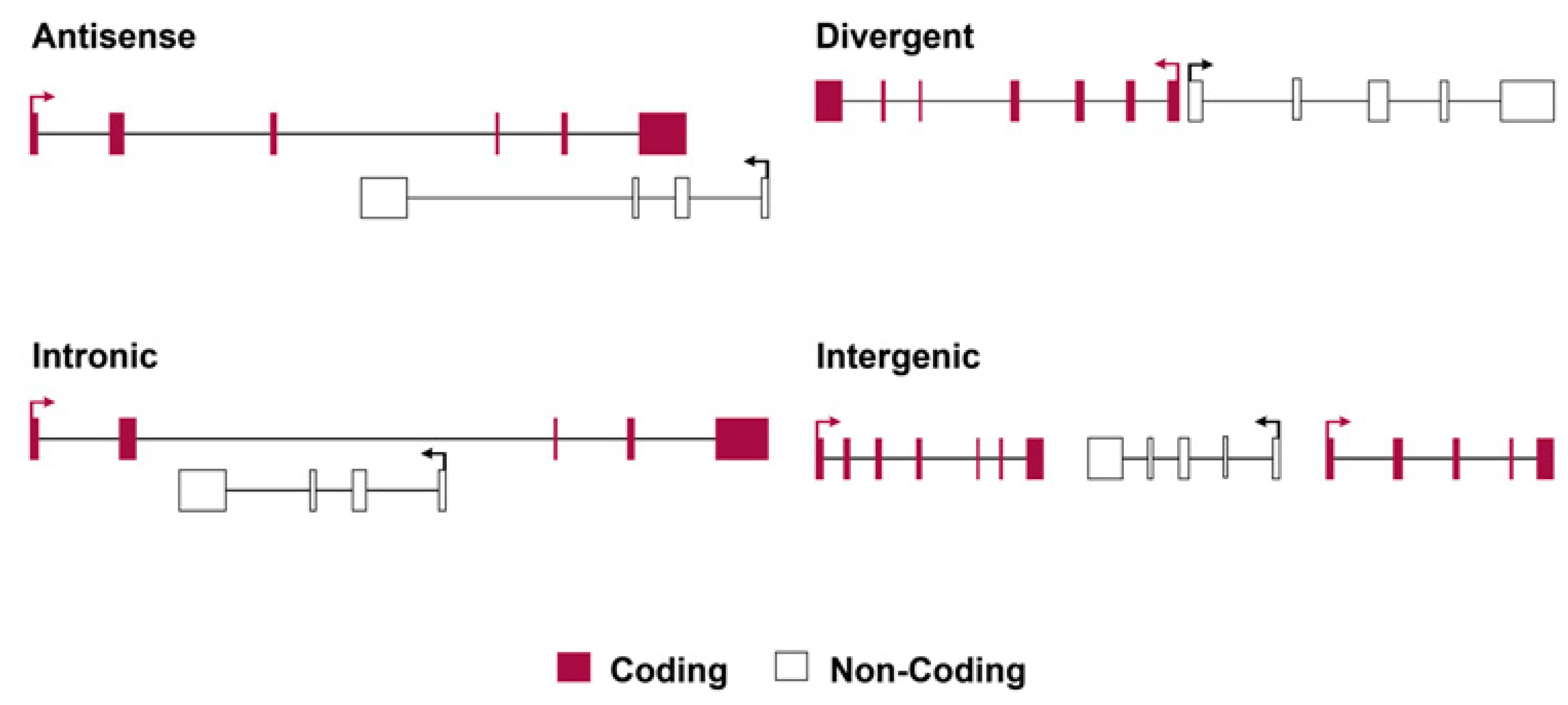 Ijms 24 13566 g001 Ijms 24 13566 g001