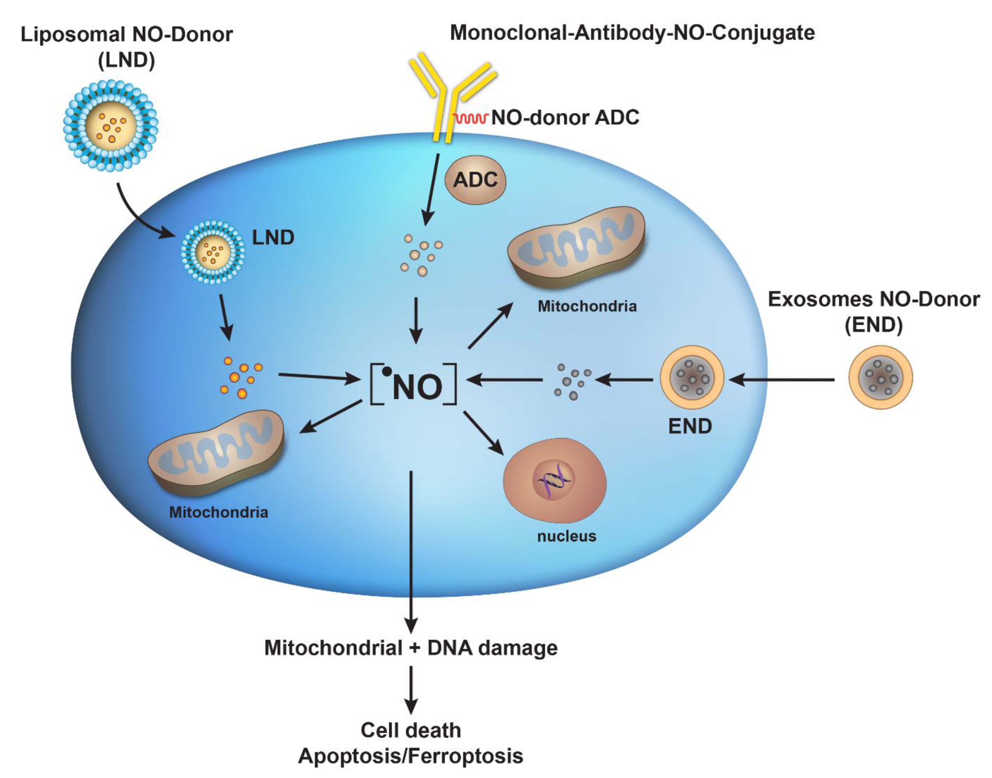 Ijms 24 13611 g001 Ijms 24 13611 g001