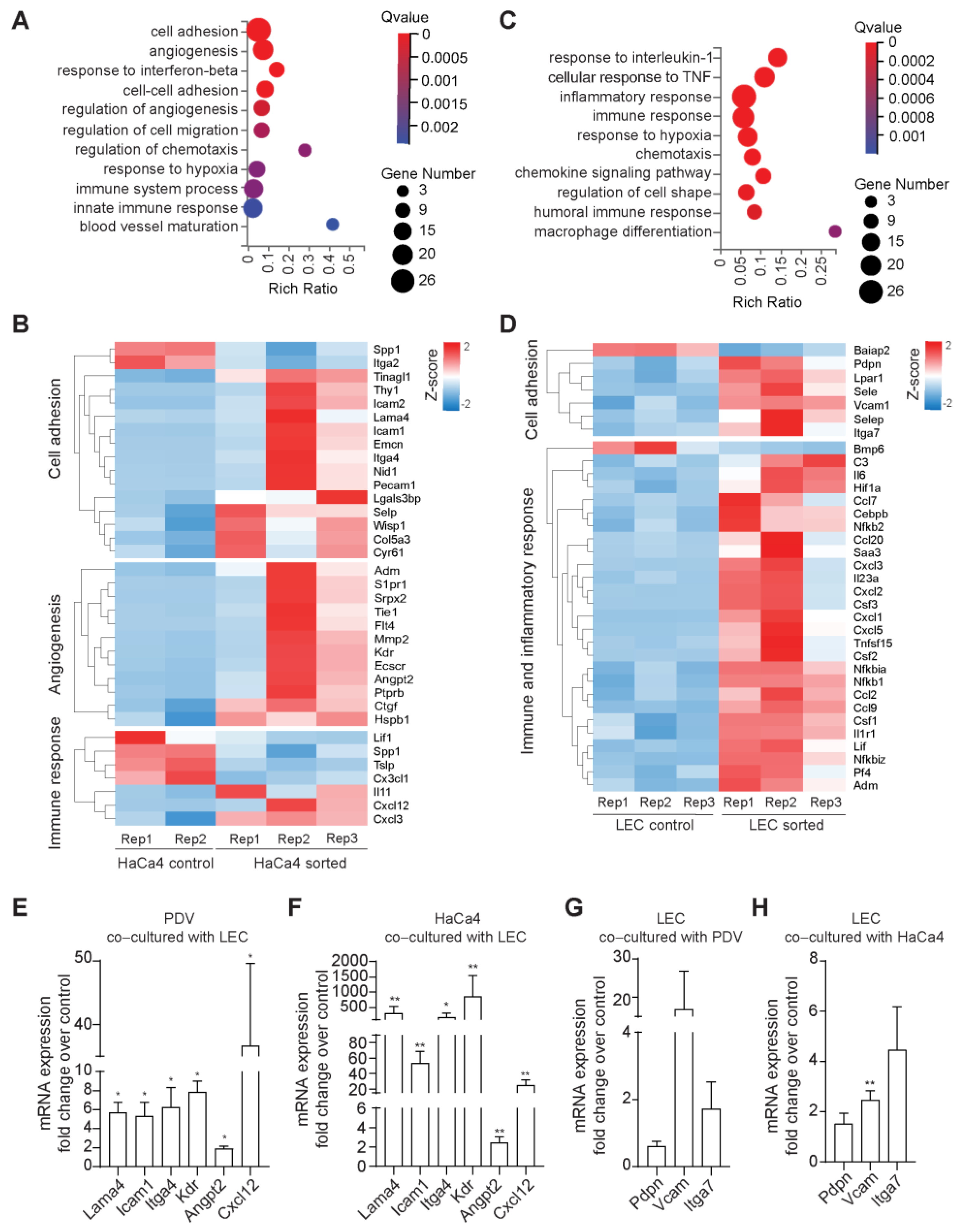 Ijms 24 13615 g003 Ijms 24 13615 g003