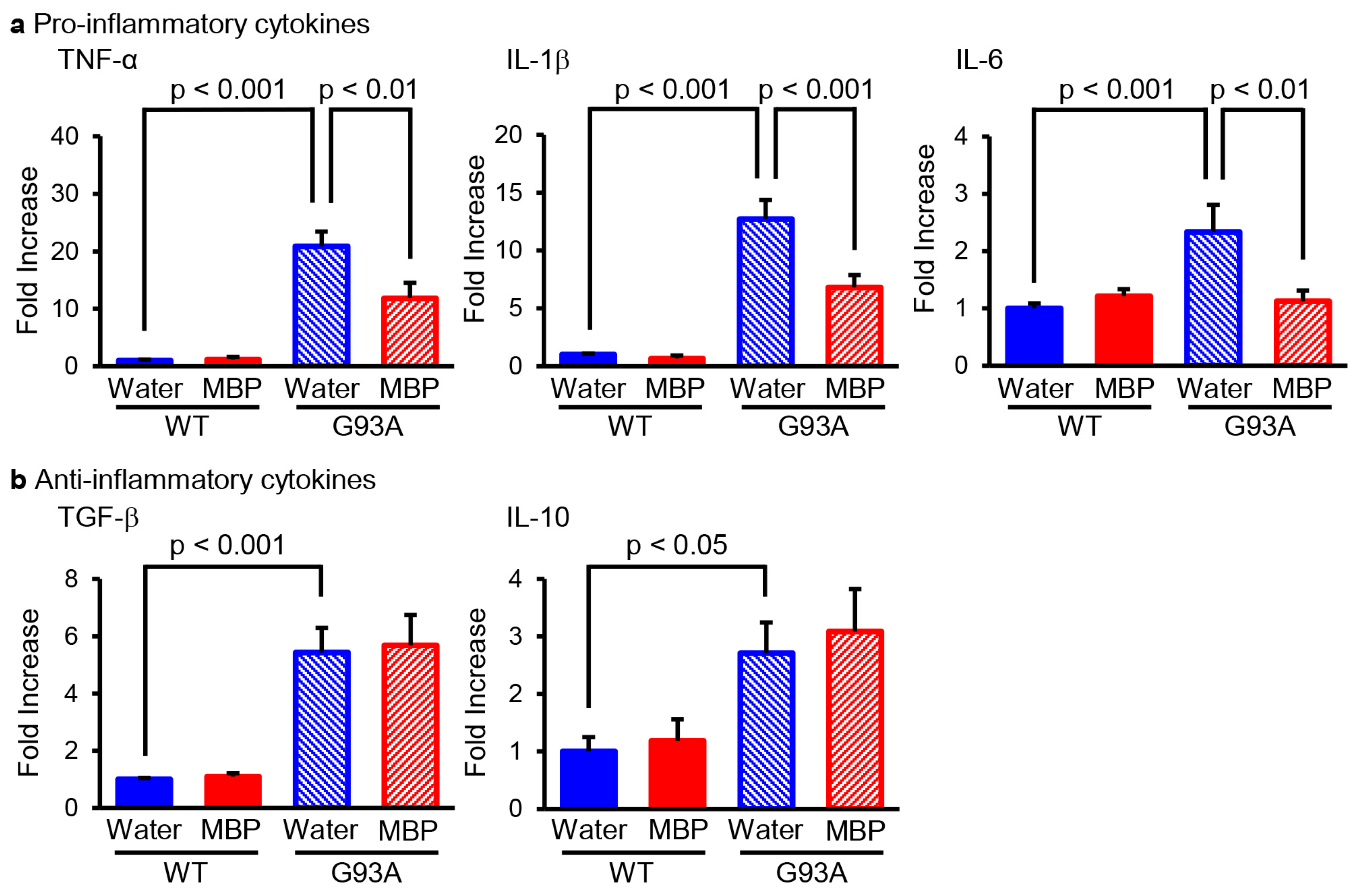 Ijms 24 13698 g001 Ijms 24 13698 g001