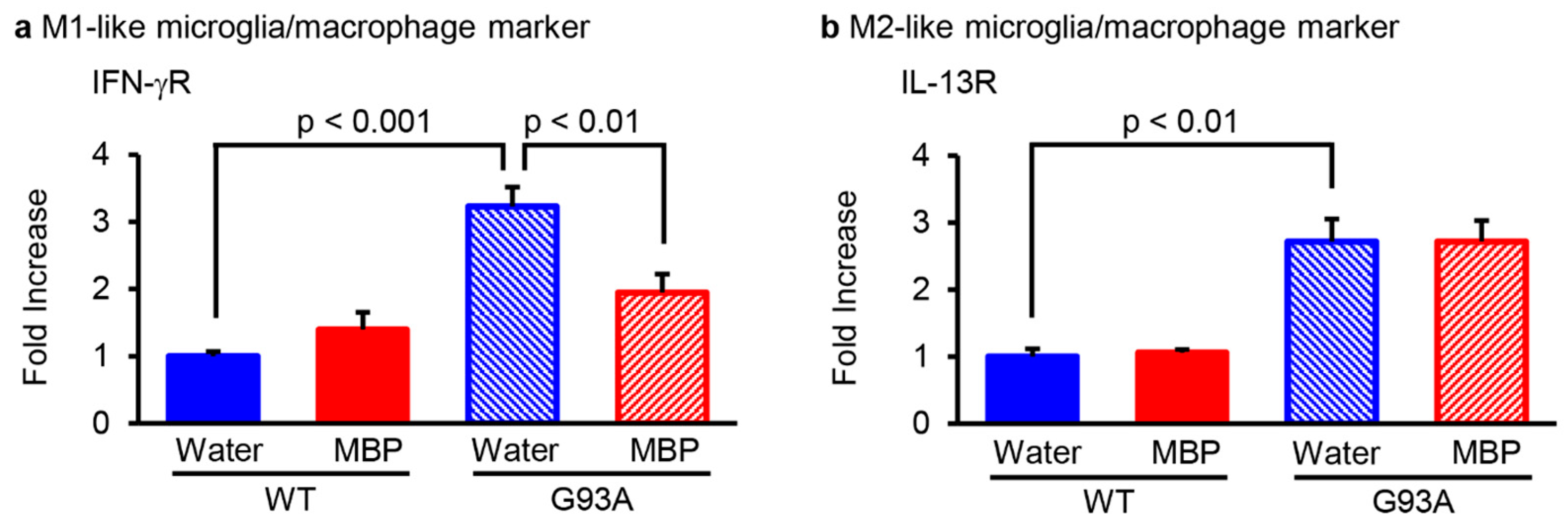 Ijms 24 13698 g002 Ijms 24 13698 g002