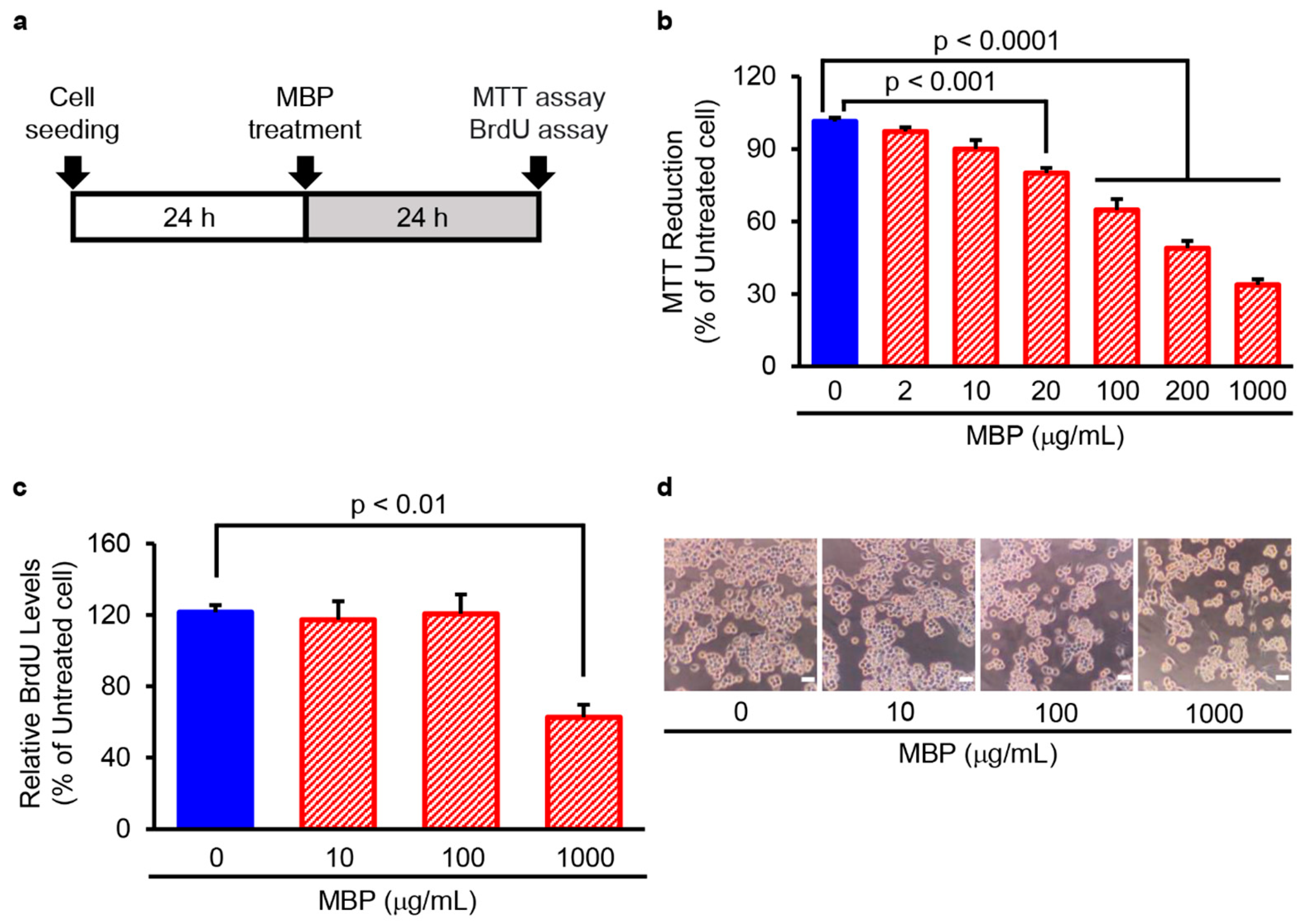 Ijms 24 13698 g003 Ijms 24 13698 g003