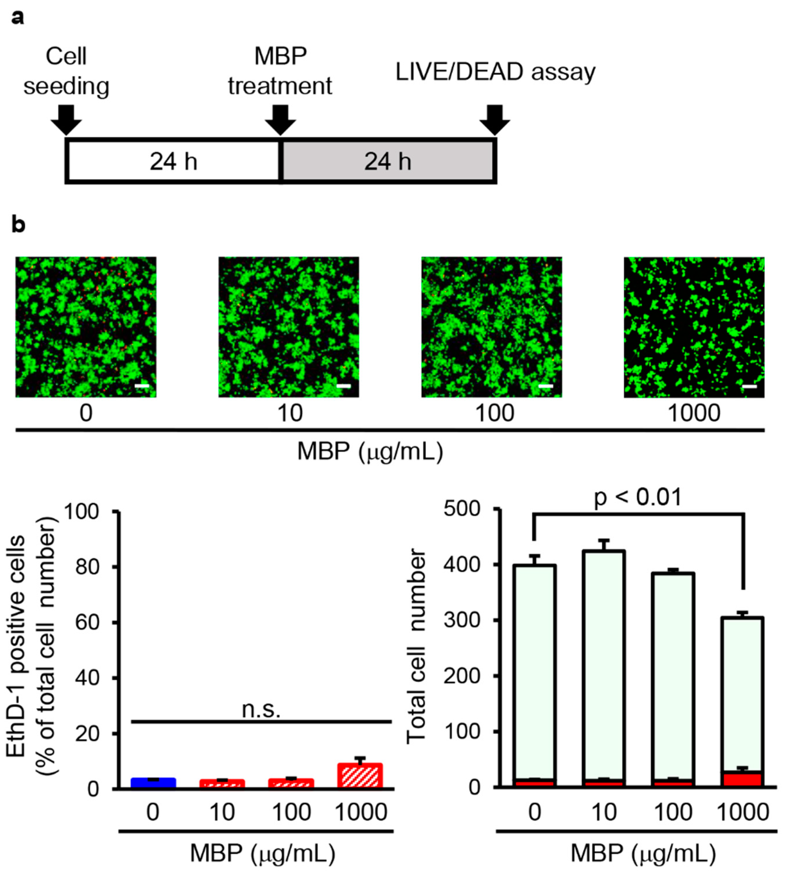 Ijms 24 13698 g004 Ijms 24 13698 g004