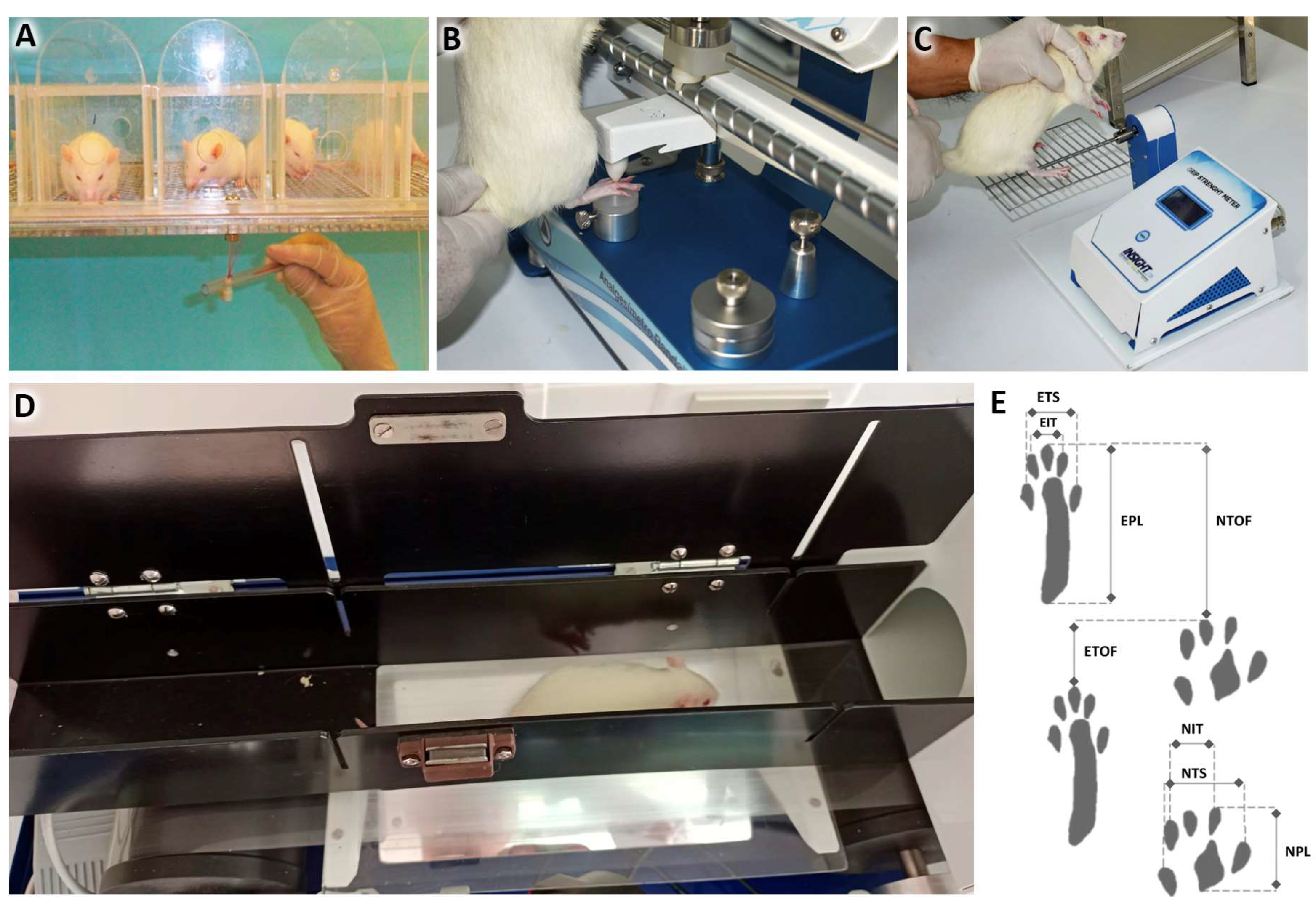 Ijms 24 14031 g010 Ijms 24 14031 g010