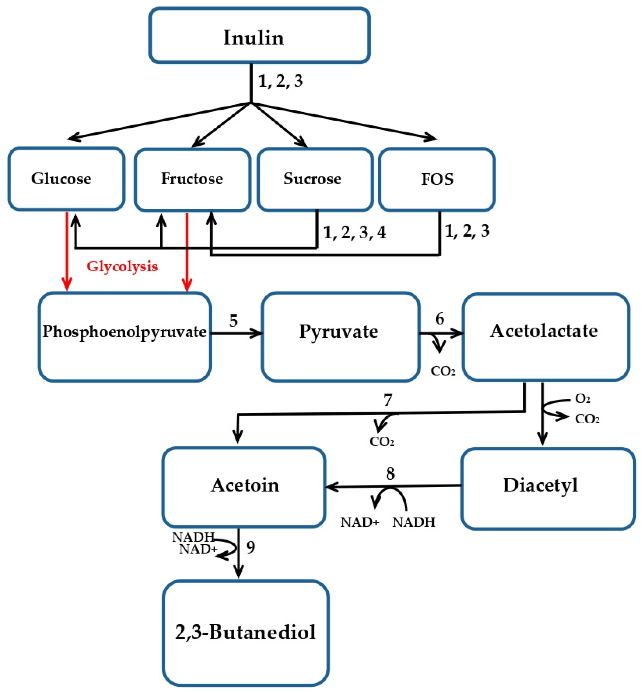 Ijms 24 14065 g001 Ijms 24 14065 g001