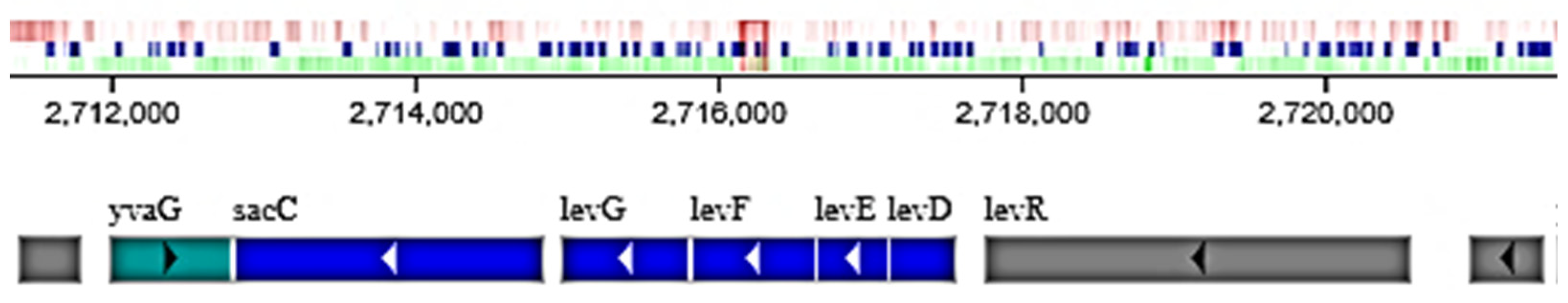 Ijms 24 14065 g006 Ijms 24 14065 g006