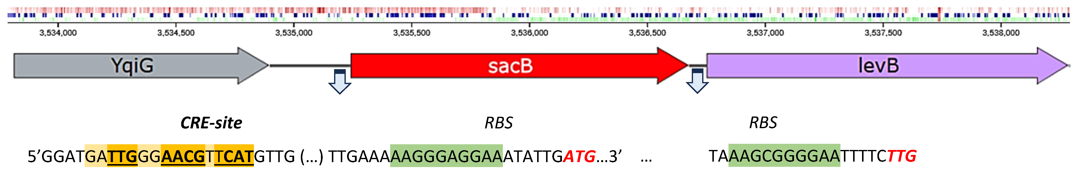 Ijms 24 14065 g007 Ijms 24 14065 g007