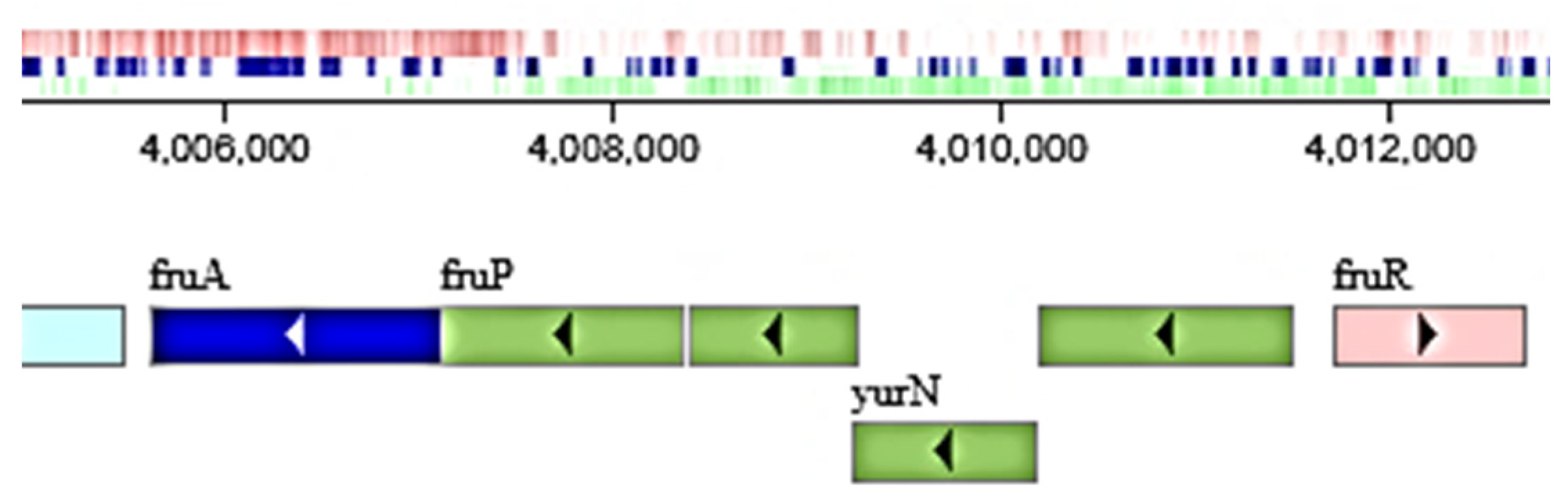 Ijms 24 14065 g009 Ijms 24 14065 g009