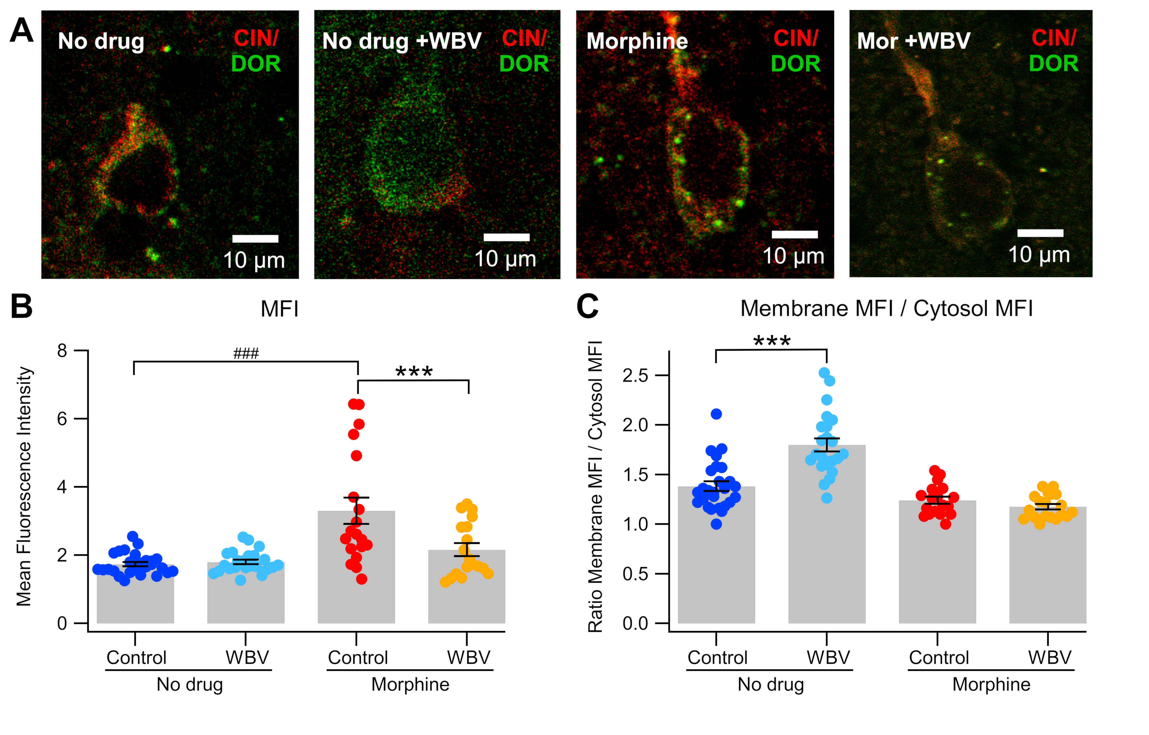Ijms 24 14147 g003 Ijms 24 14147 g003