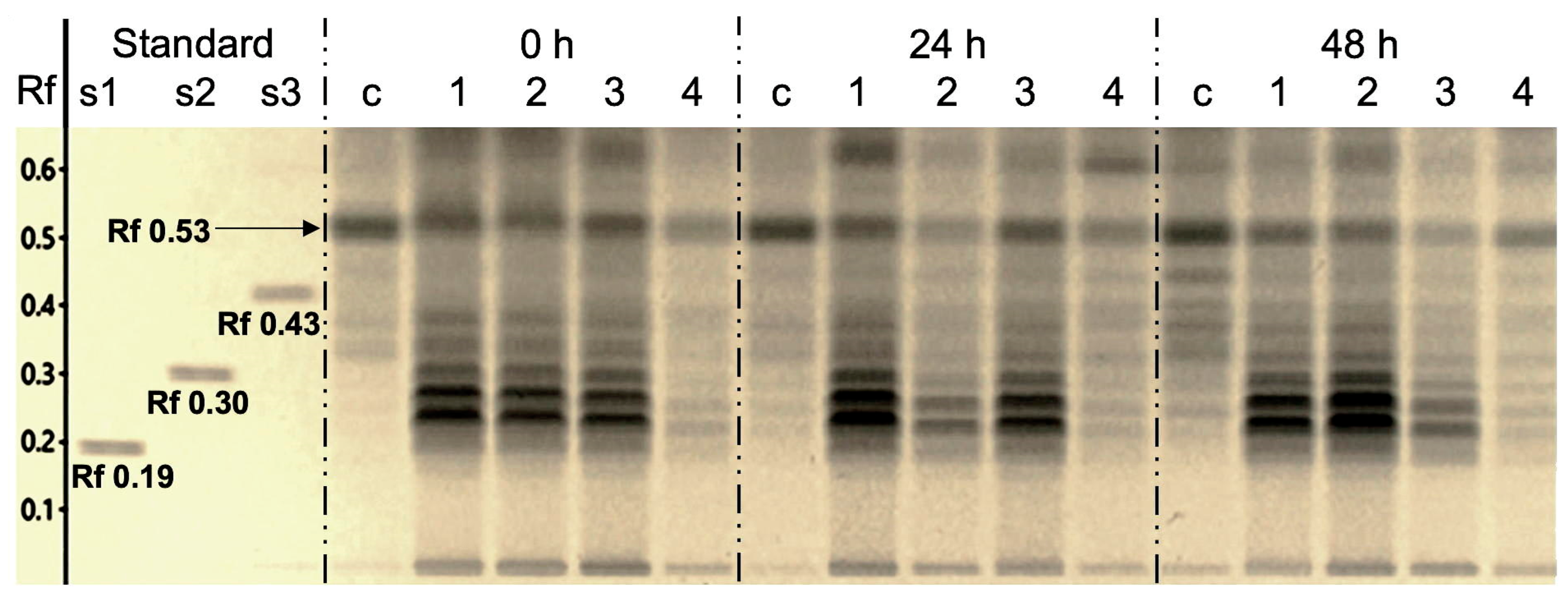 Ijms 24 14172 g004