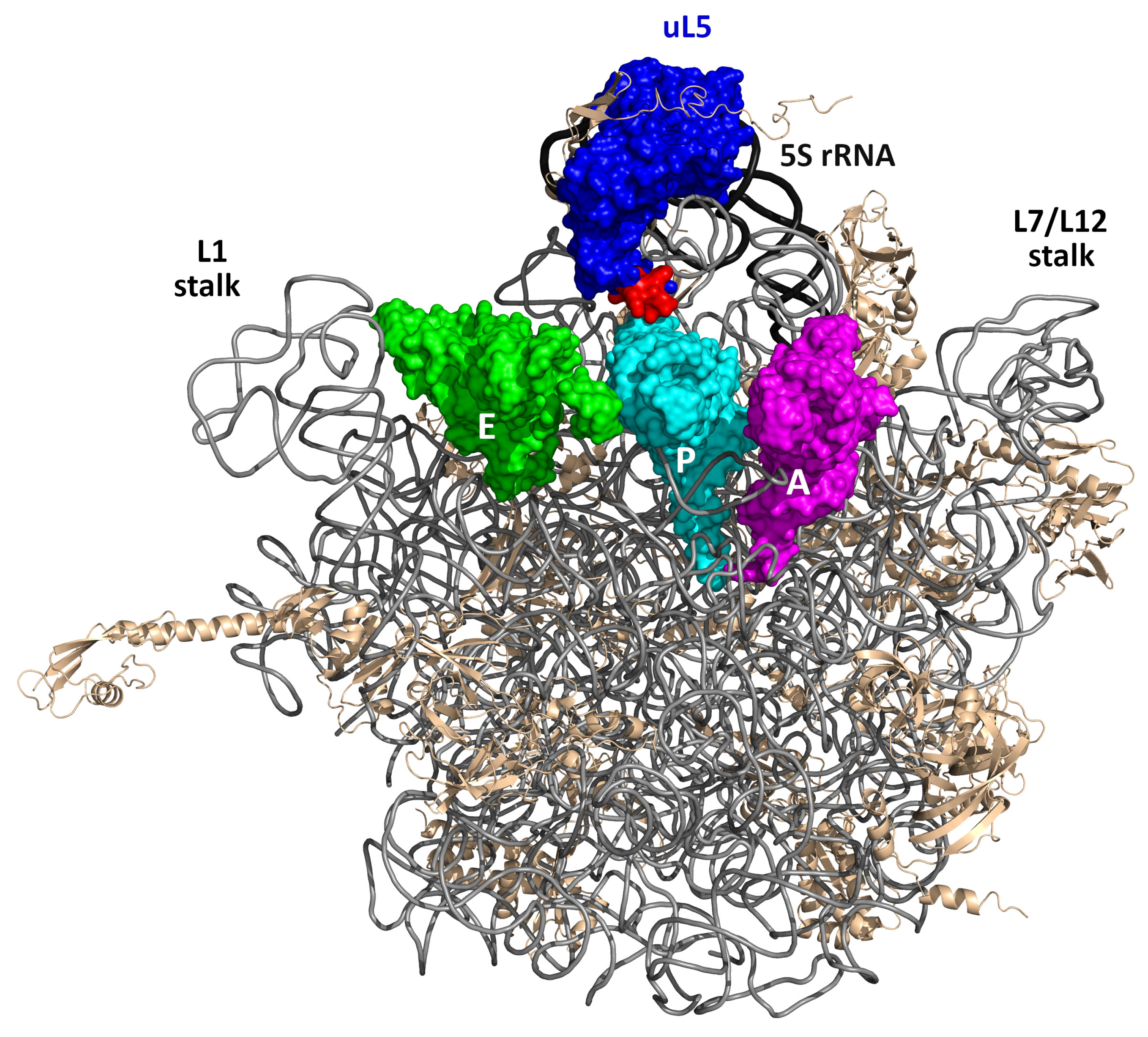 Ijms 24 14285 g001 Ijms 24 14285 g001