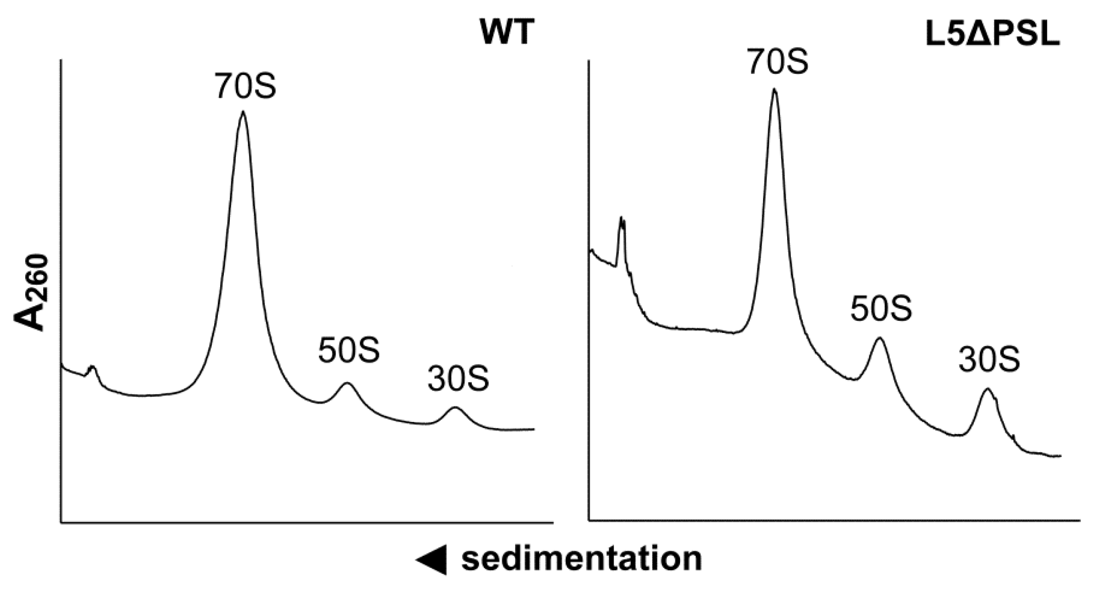 Ijms 24 14285 g002 Ijms 24 14285 g002