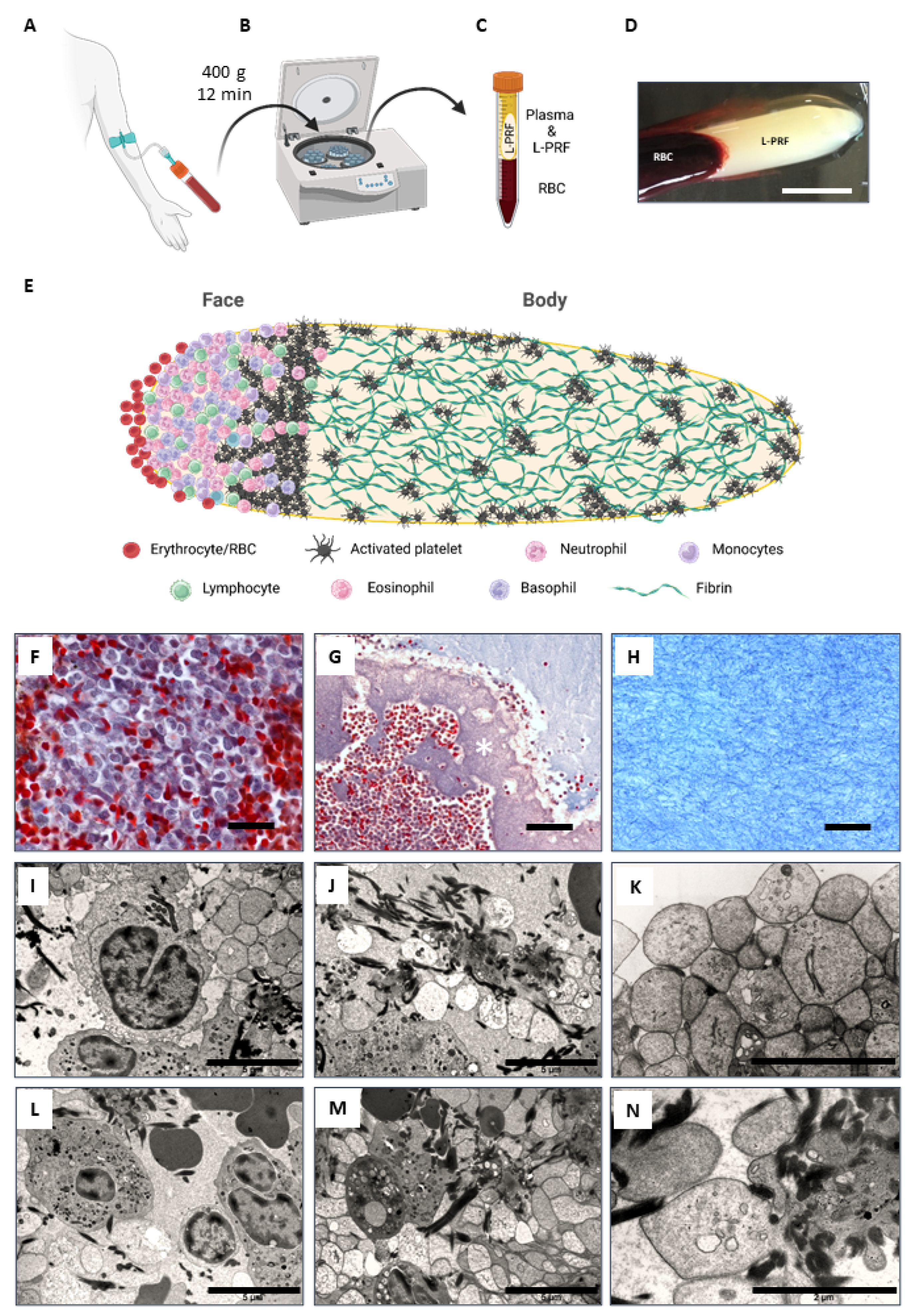 Ijms 24 14314 g001 Ijms 24 14314 g001