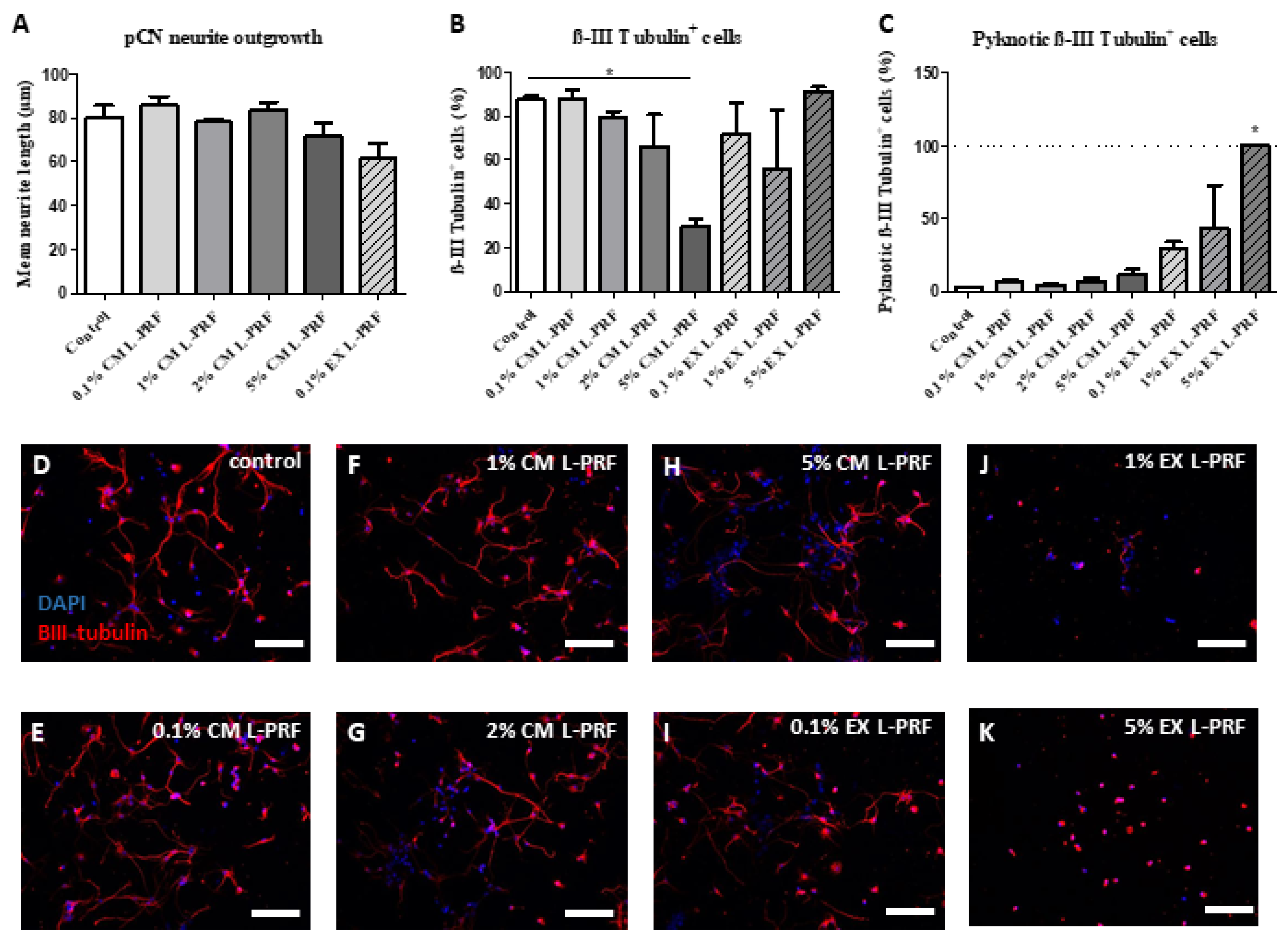 Ijms 24 14314 g005 Ijms 24 14314 g005