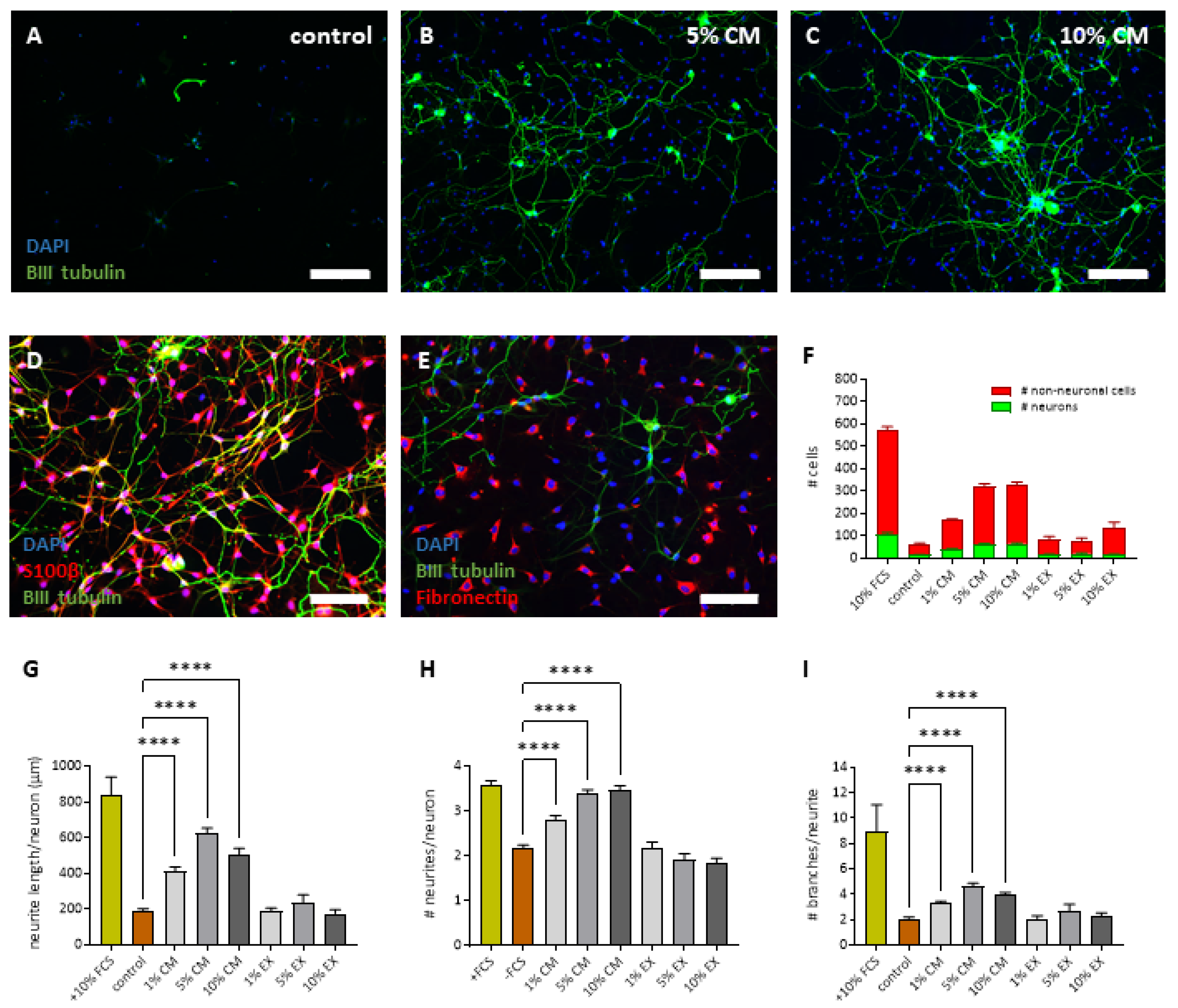 Ijms 24 14314 g006 Ijms 24 14314 g006