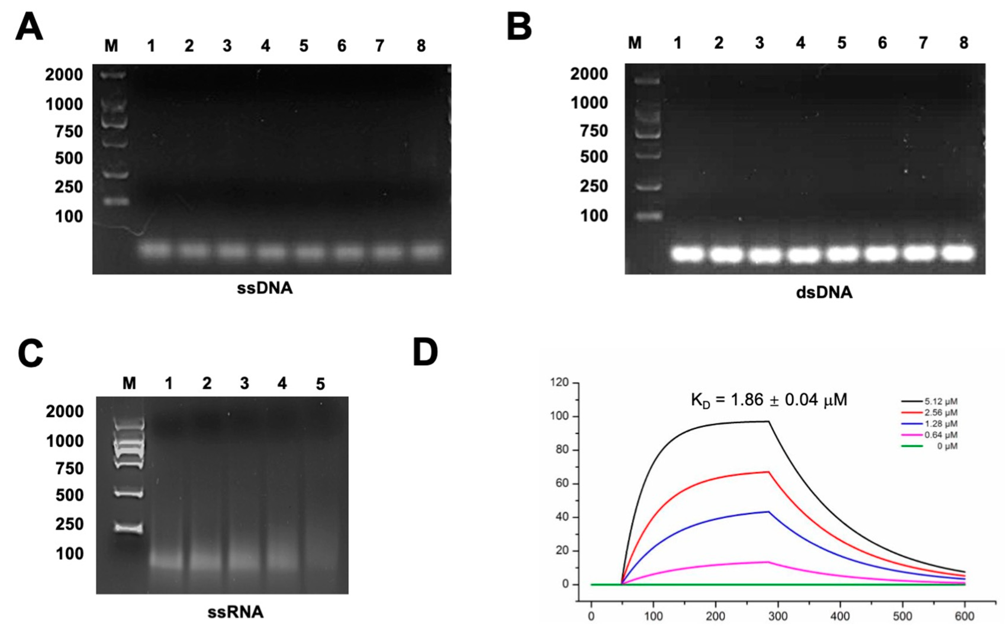 Ijms 24 14318 g004 Ijms 24 14318 g004