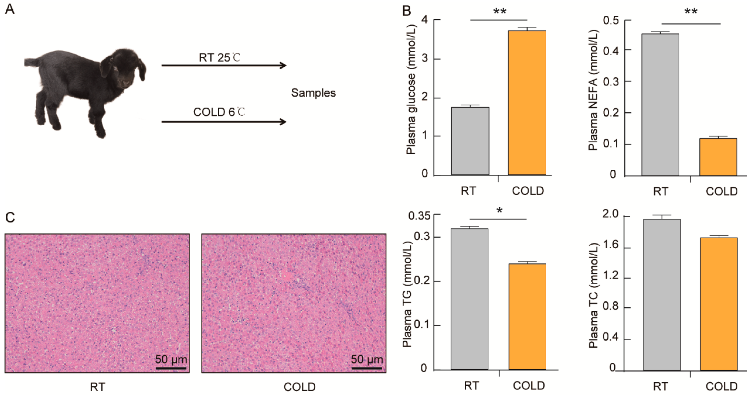 Ijms 24 14330 g001 Ijms 24 14330 g001
