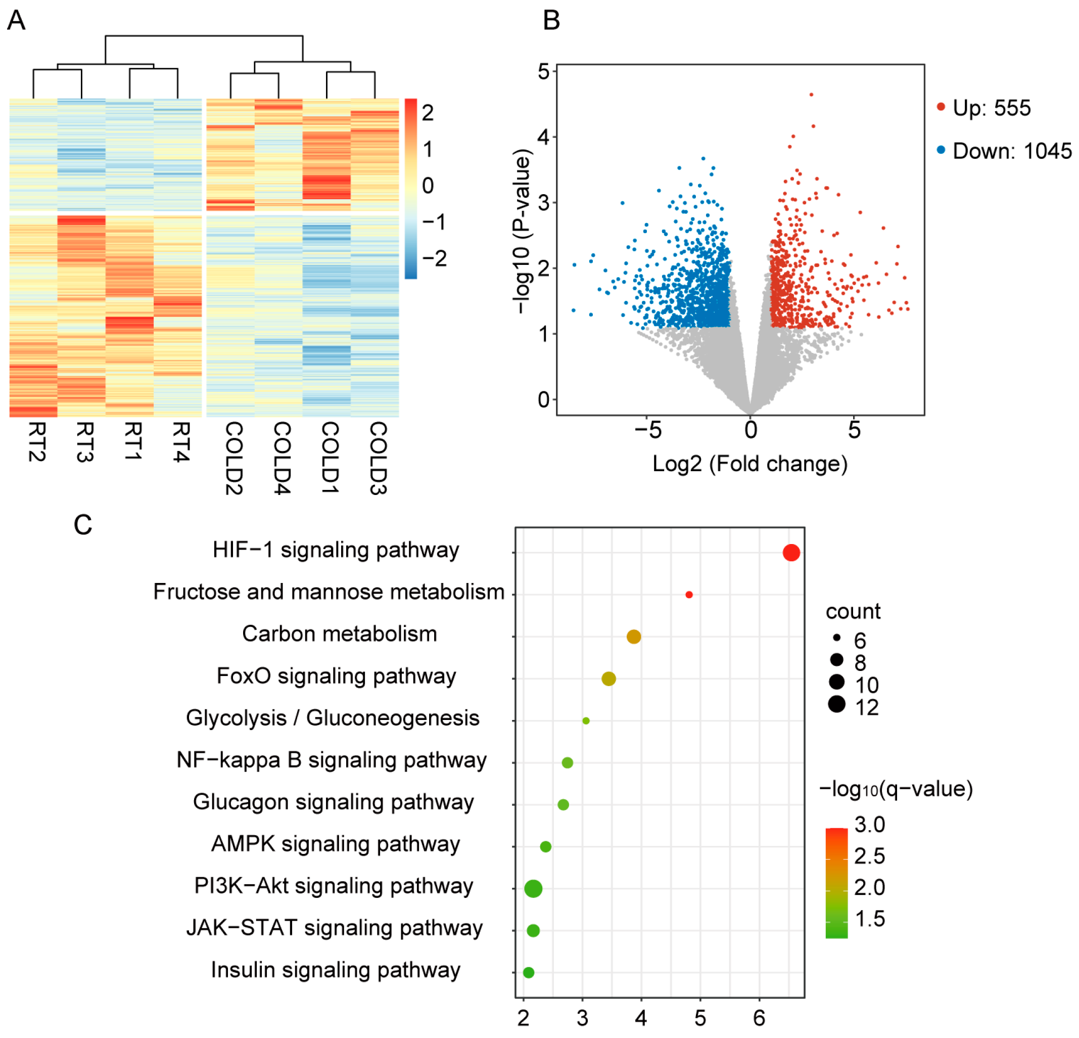 Ijms 24 14330 g002 Ijms 24 14330 g002