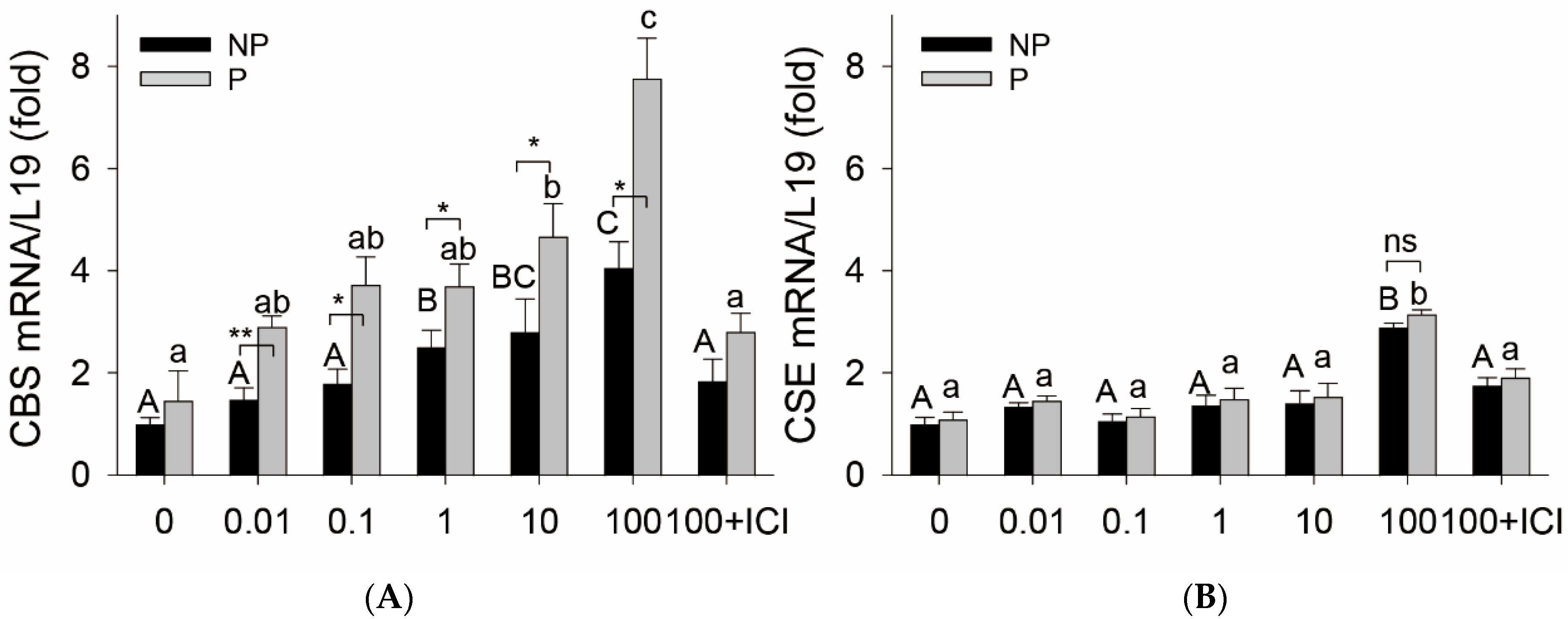 Ijms 24 14384 g001 Ijms 24 14384 g001