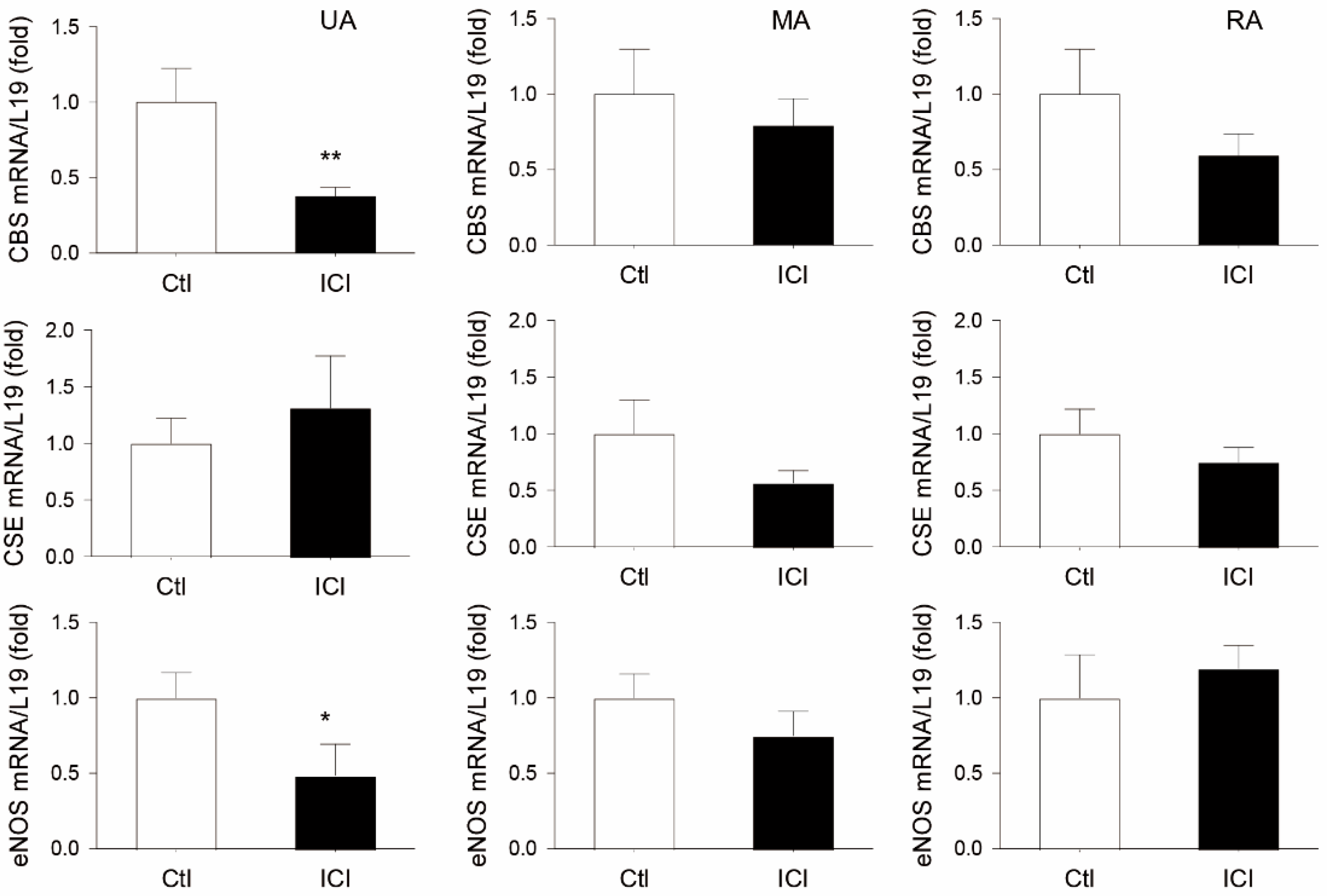Ijms 24 14384 g002 Ijms 24 14384 g002