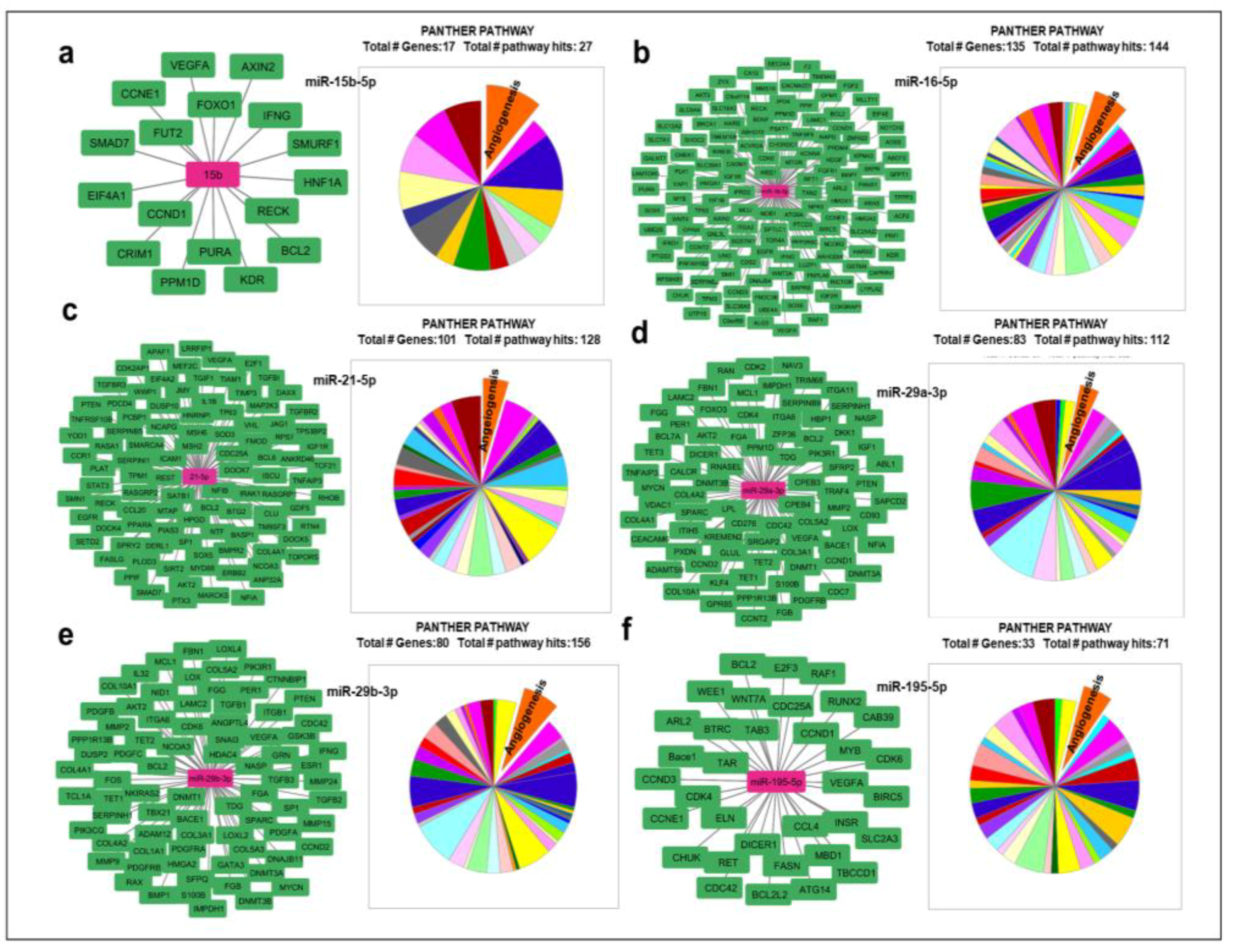 Ijms 24 14456 g002 Ijms 24 14456 g002
