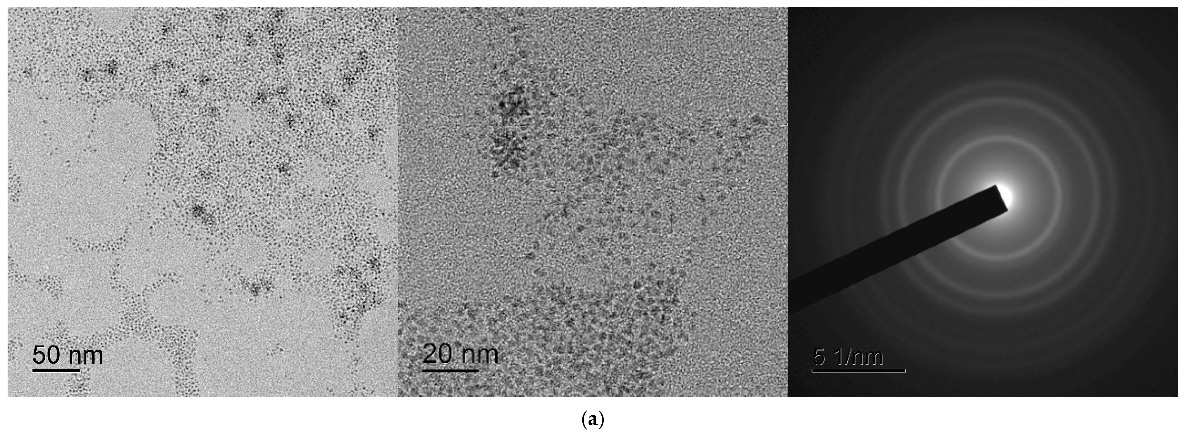 Ijms 24 14501 g012a Ijms 24 14501 g012a