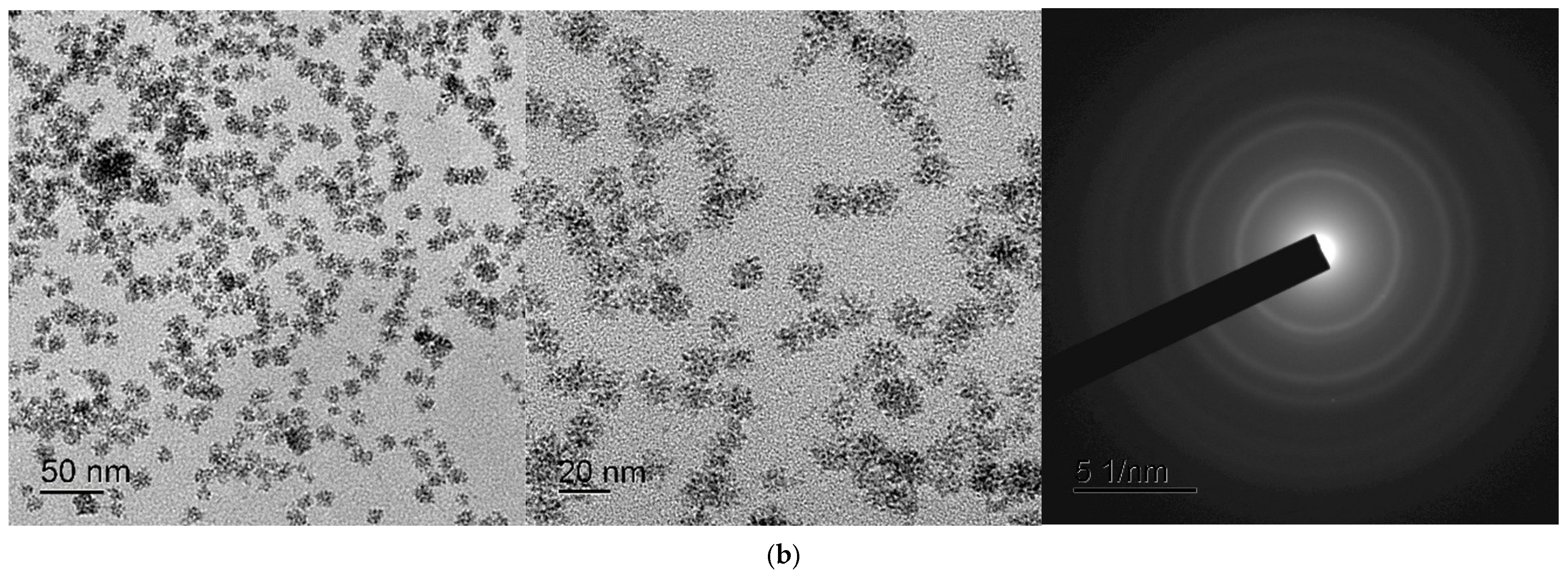 Ijms 24 14501 g012b Ijms 24 14501 g012b