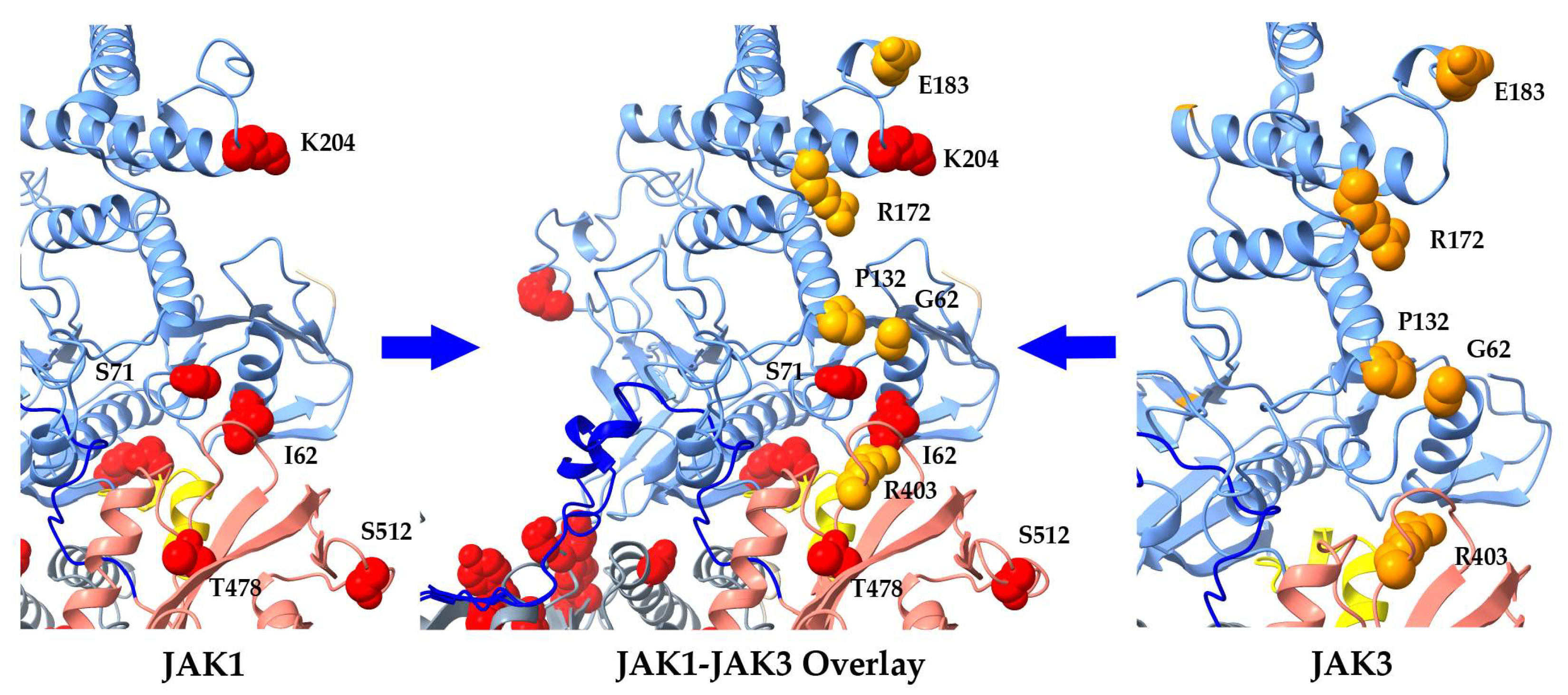 Ijms 24 14573 g006 Ijms 24 14573 g006