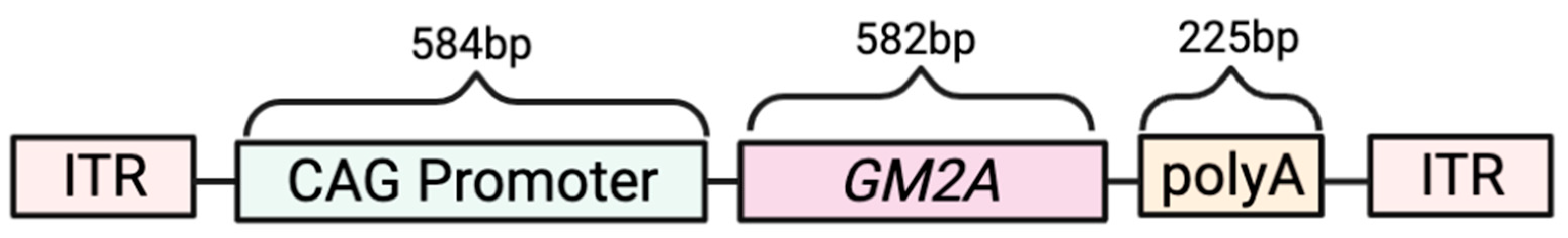 Ijms 24 14611 g001 Ijms 24 14611 g001