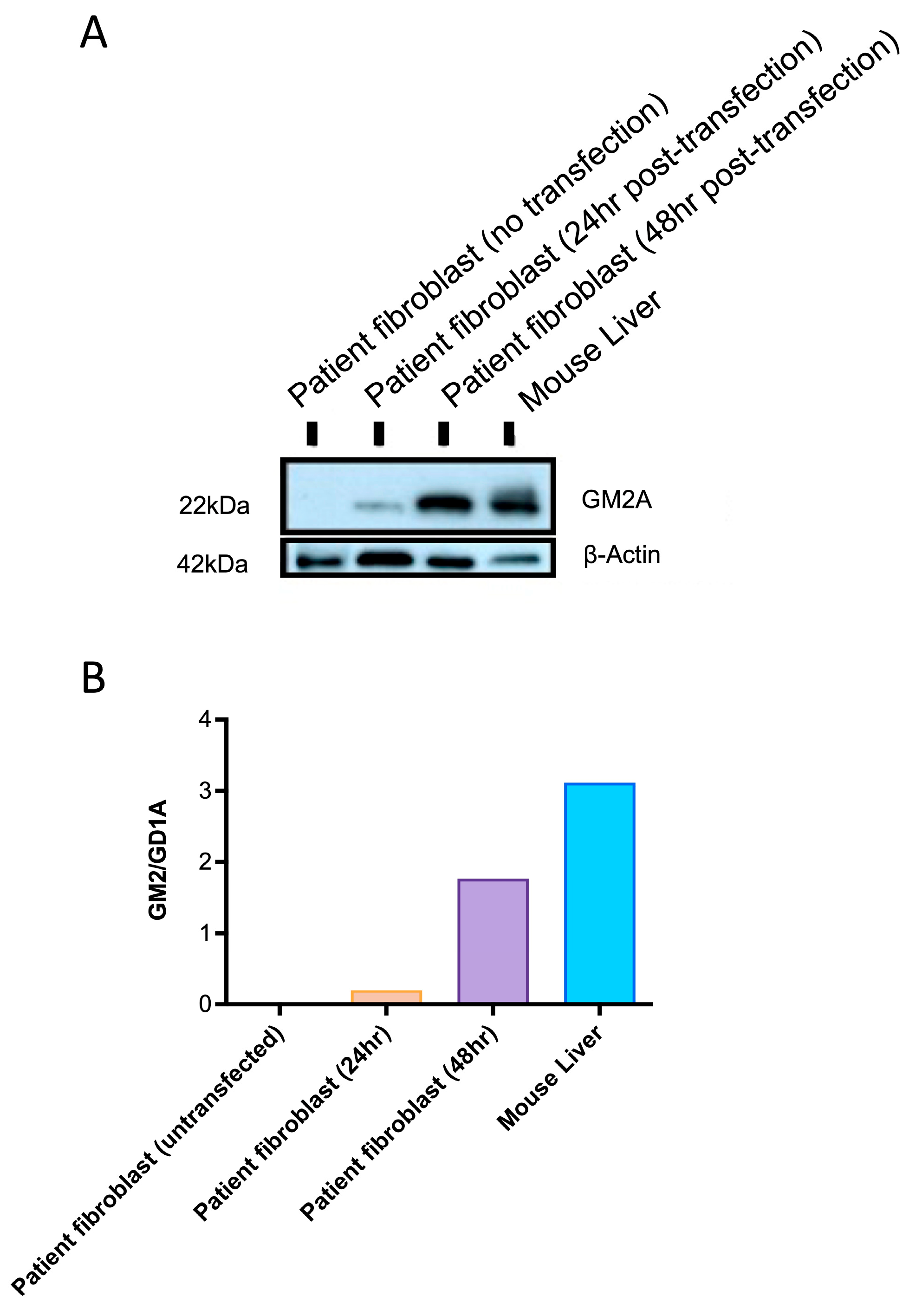 Ijms 24 14611 g003 Ijms 24 14611 g003
