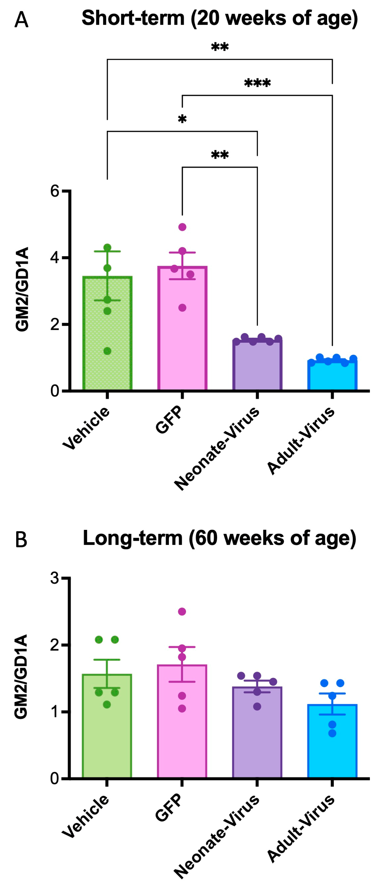 Ijms 24 14611 g004 Ijms 24 14611 g004
