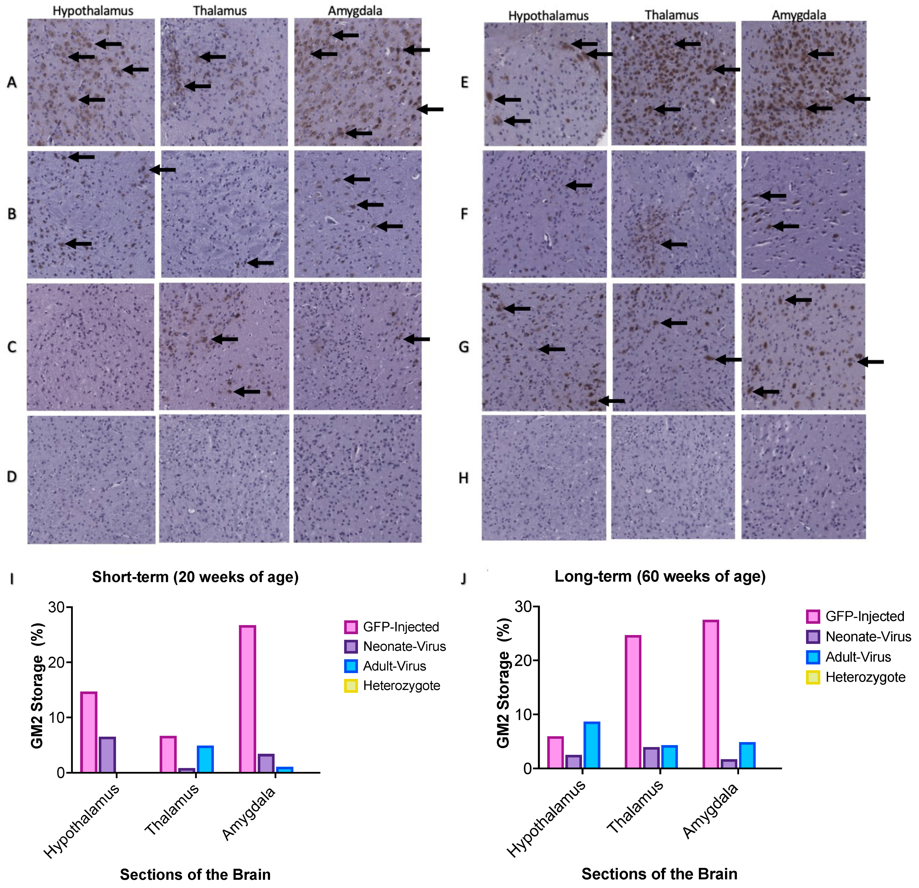 Ijms 24 14611 g005 Ijms 24 14611 g005