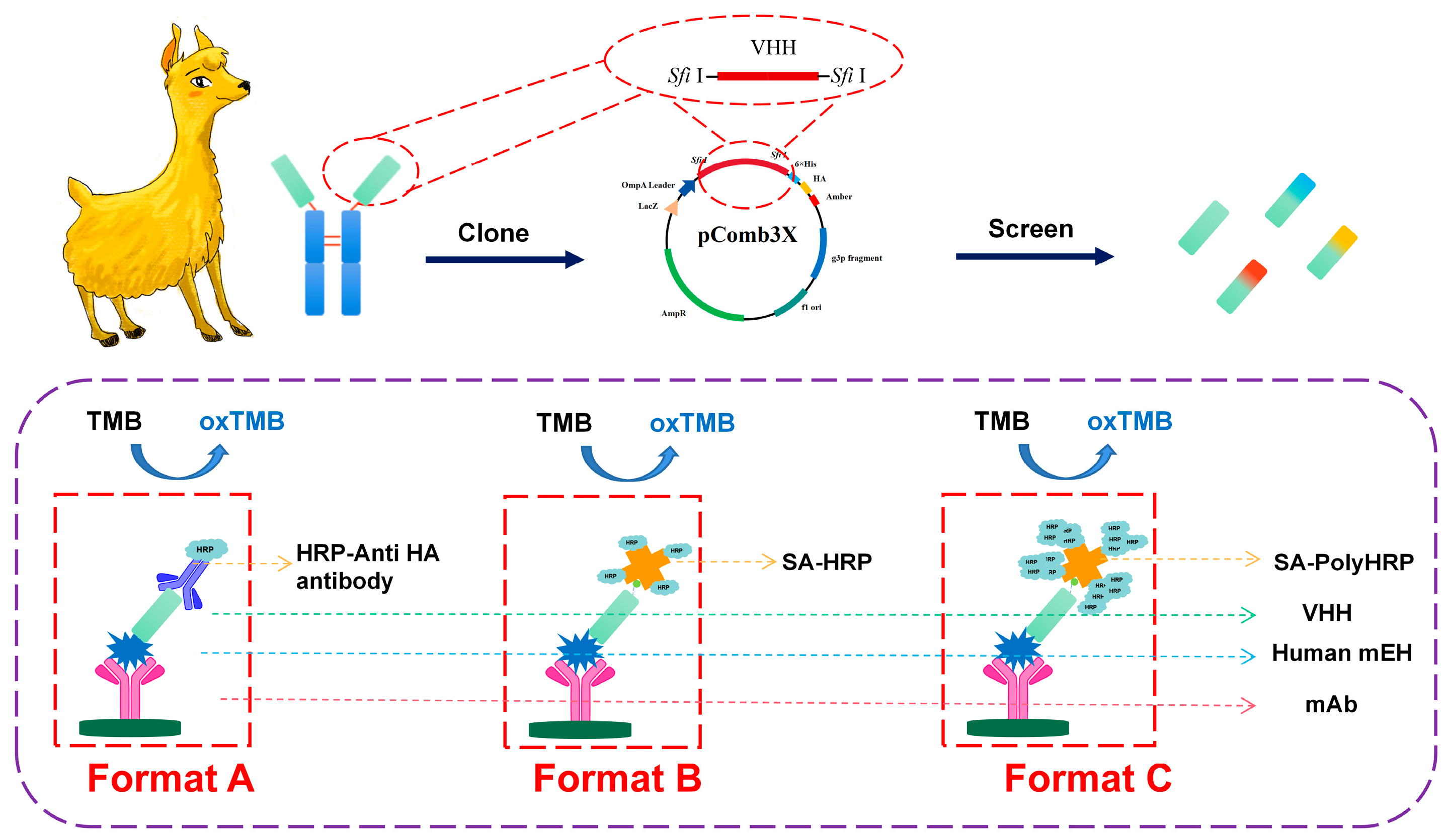 Ijms 24 14698 sch001