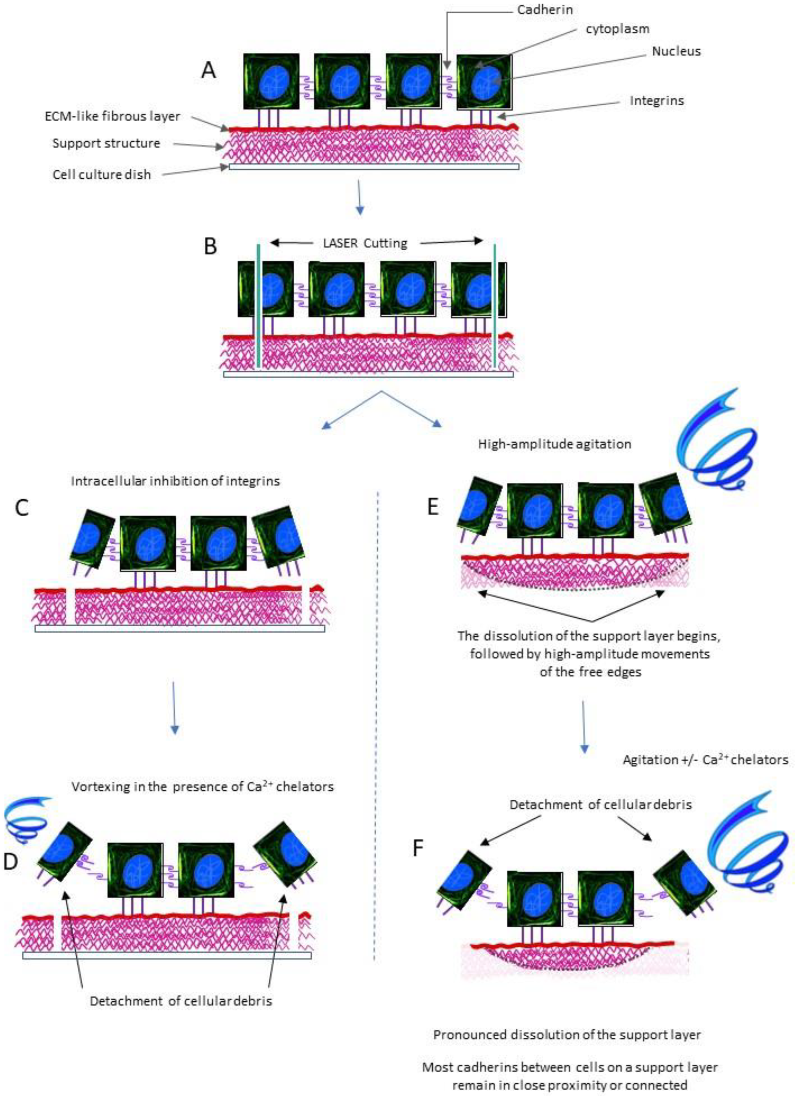 Ijms 24 14722 g001 Ijms 24 14722 g001