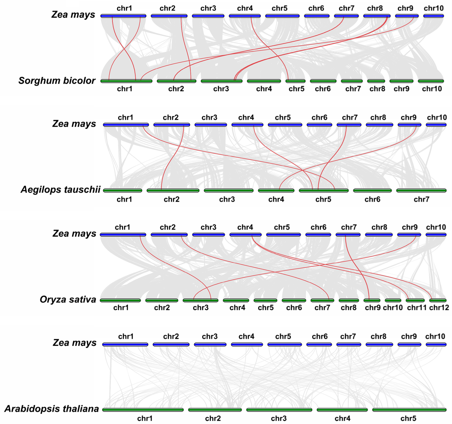 Ijms 24 14733 g004 Ijms 24 14733 g004