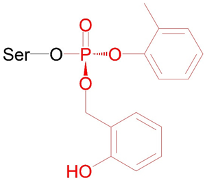 Ijms 24 14819 i002 Ijms 24 14819 i002