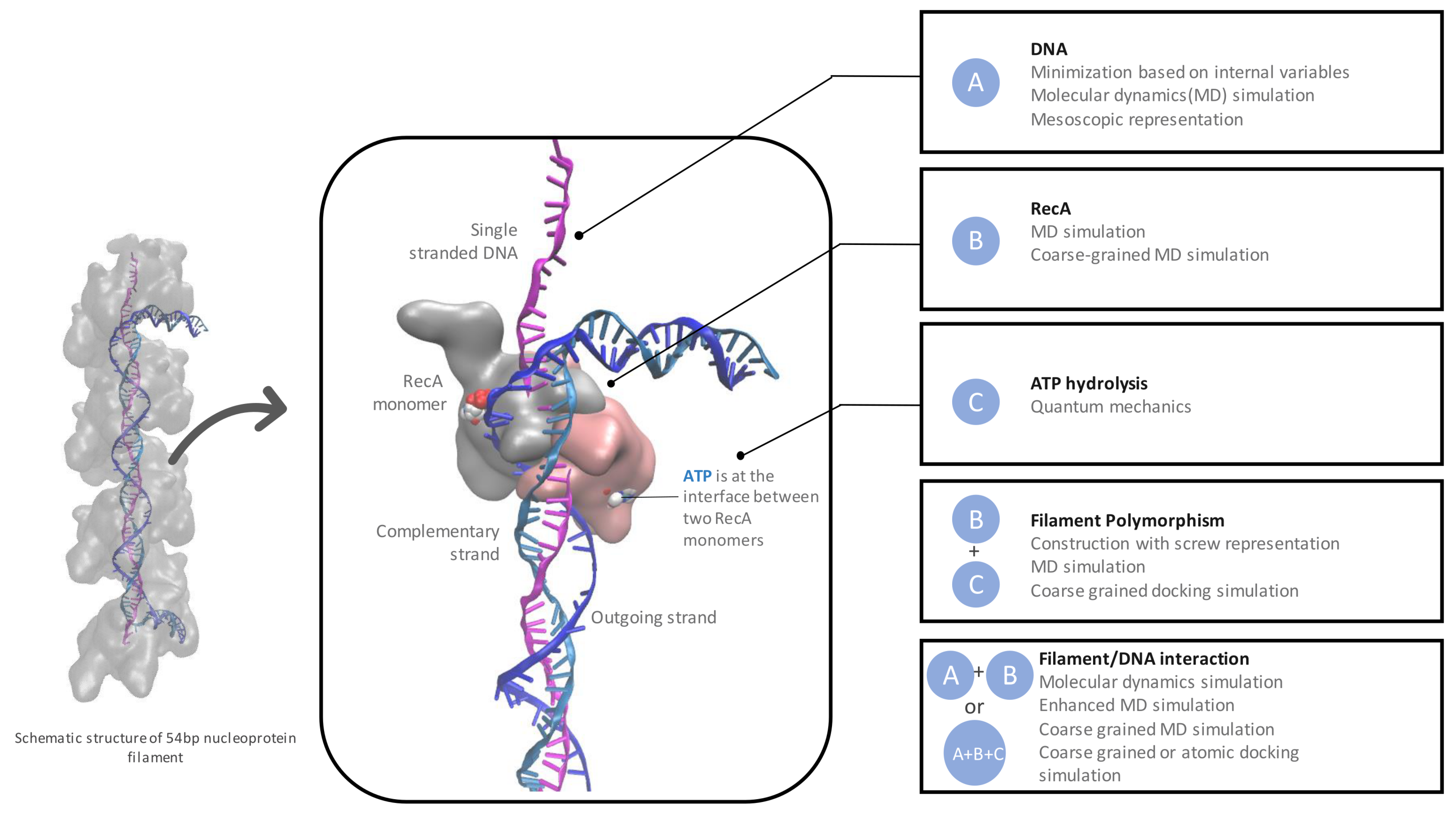 Ijms 24 14896 g001 Ijms 24 14896 g001