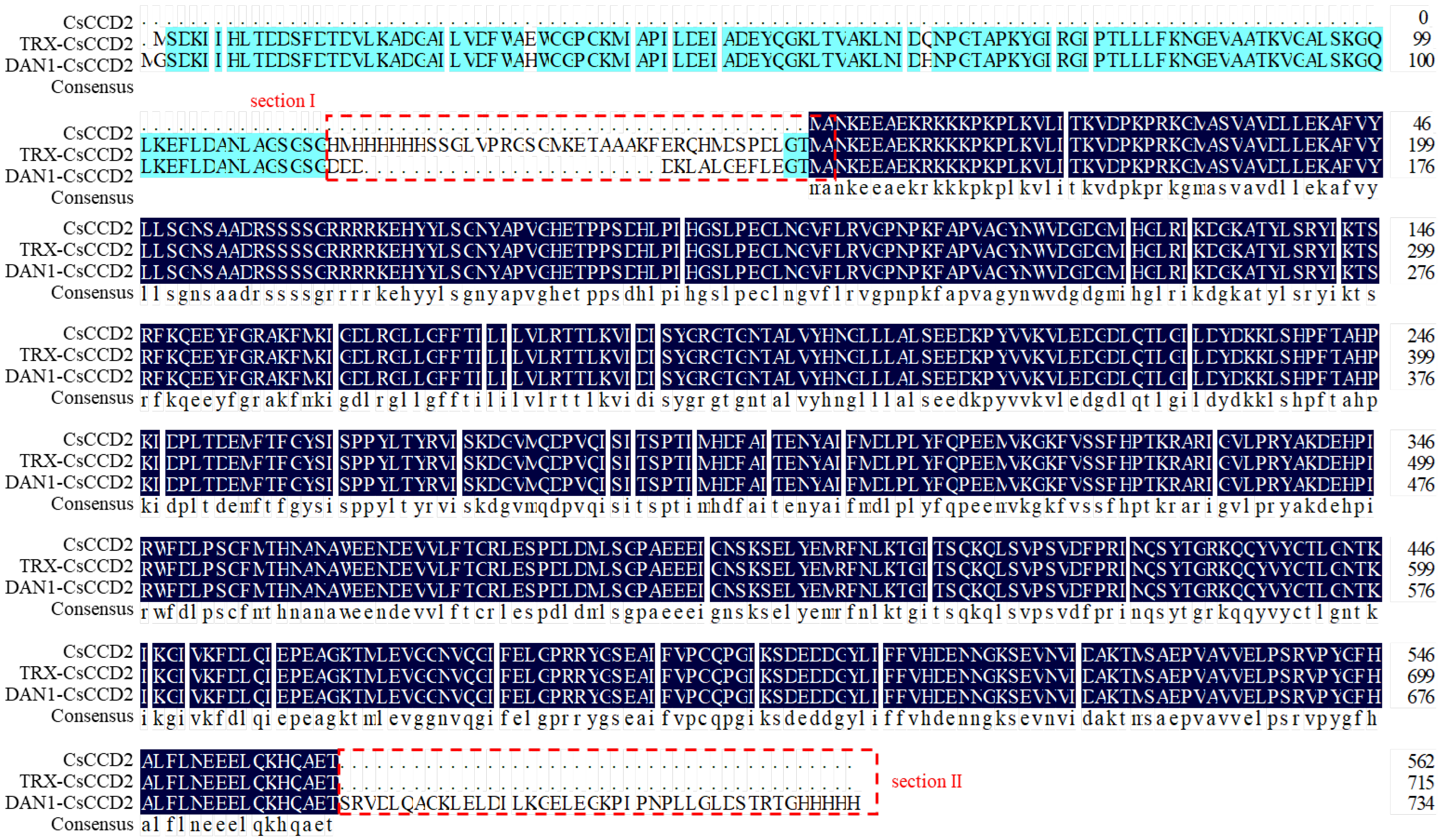 Ijms 24 15090 g005