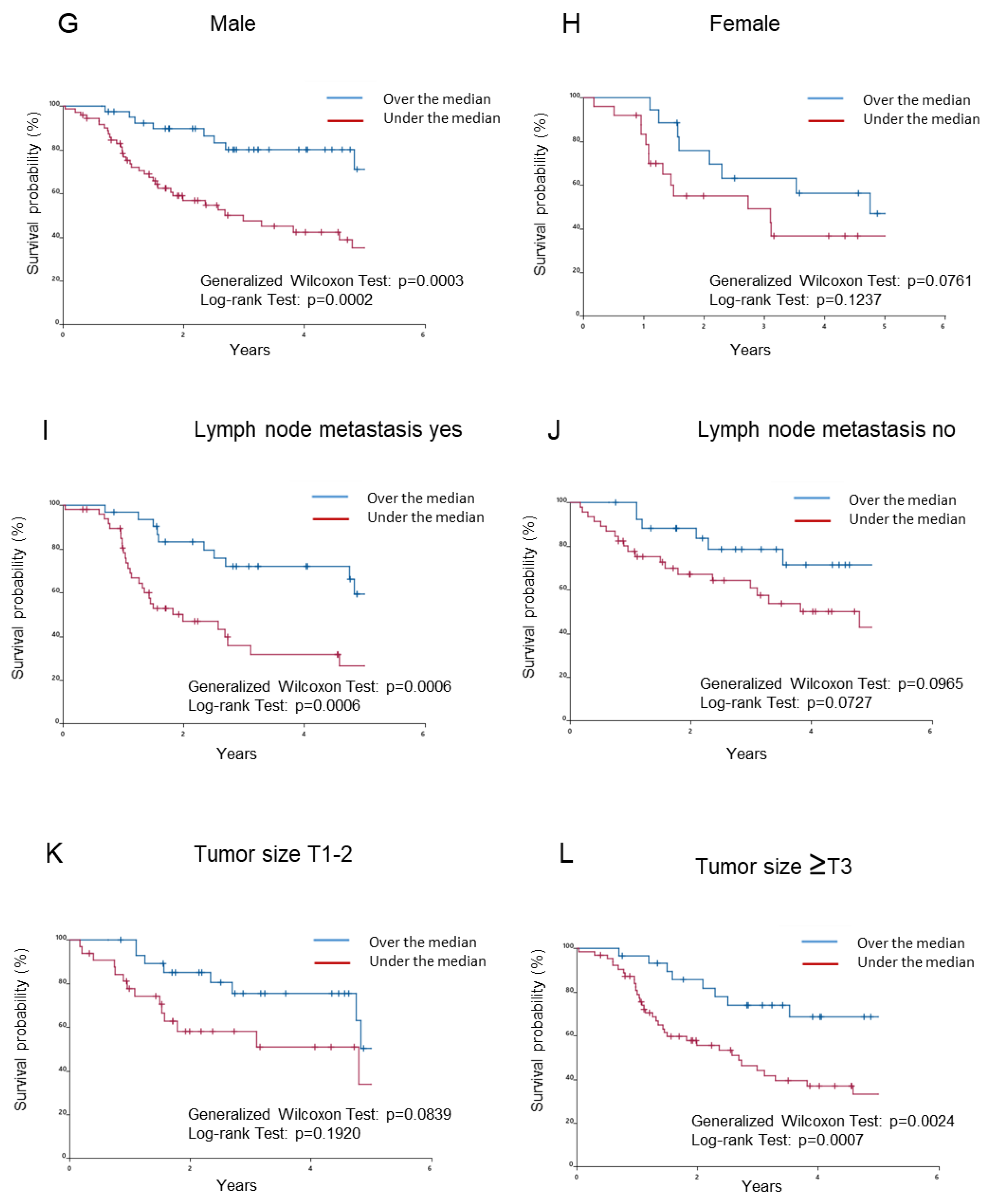 Ijms 24 15456 g003b