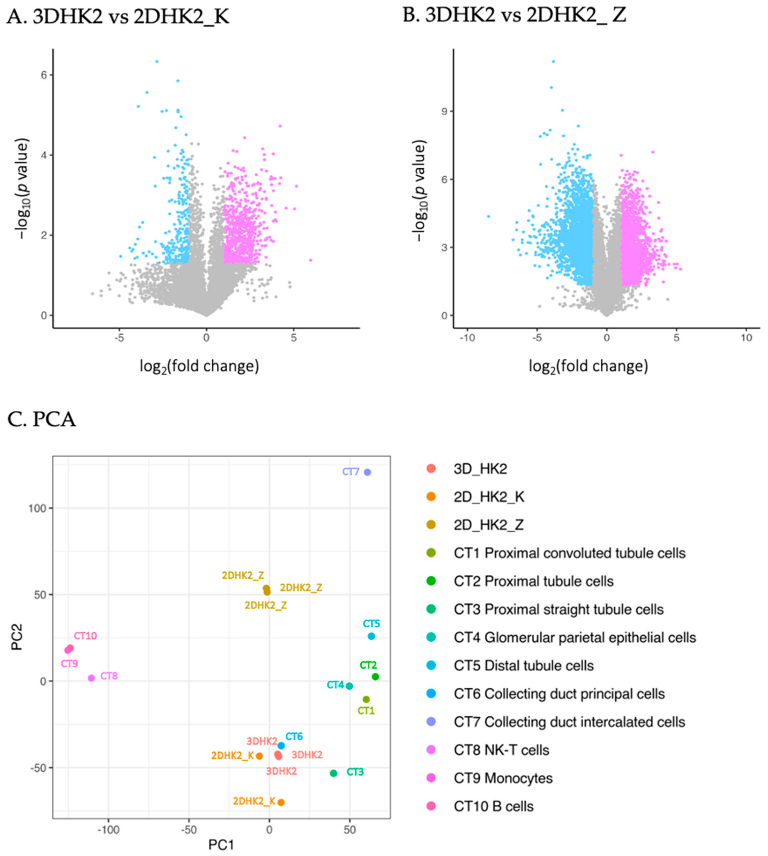 Ijms 24 15547 g002a Ijms 24 15547 g002a