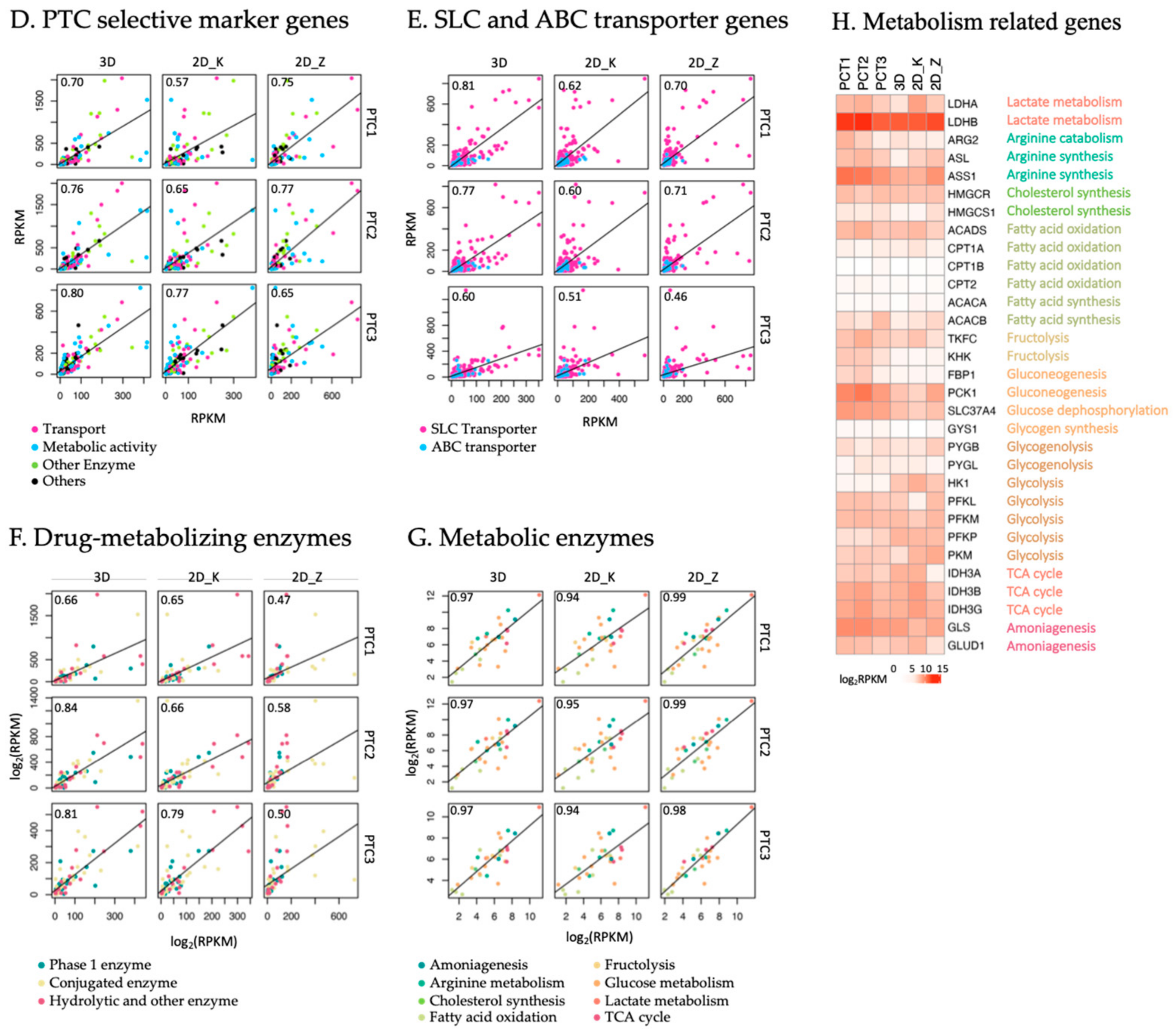 Ijms 24 15547 g002b Ijms 24 15547 g002b