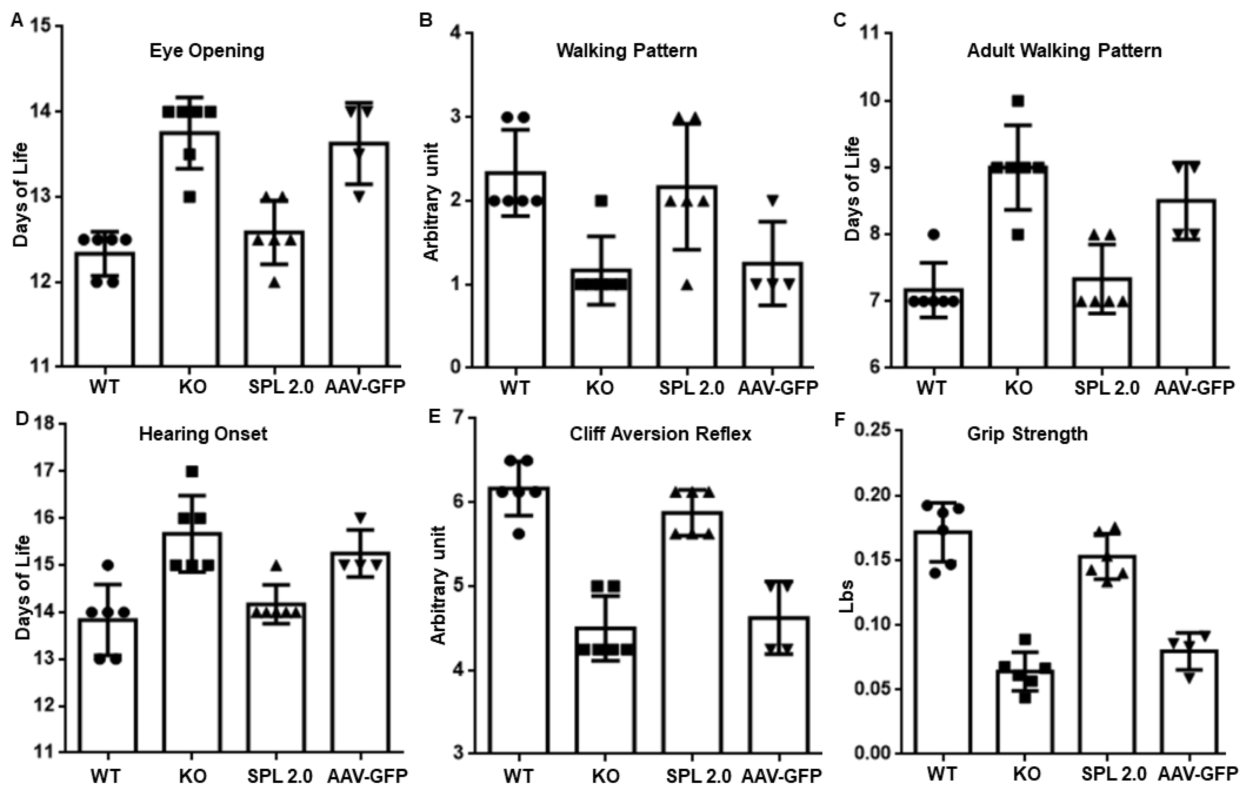 Ijms 24 15560 g003 Ijms 24 15560 g003