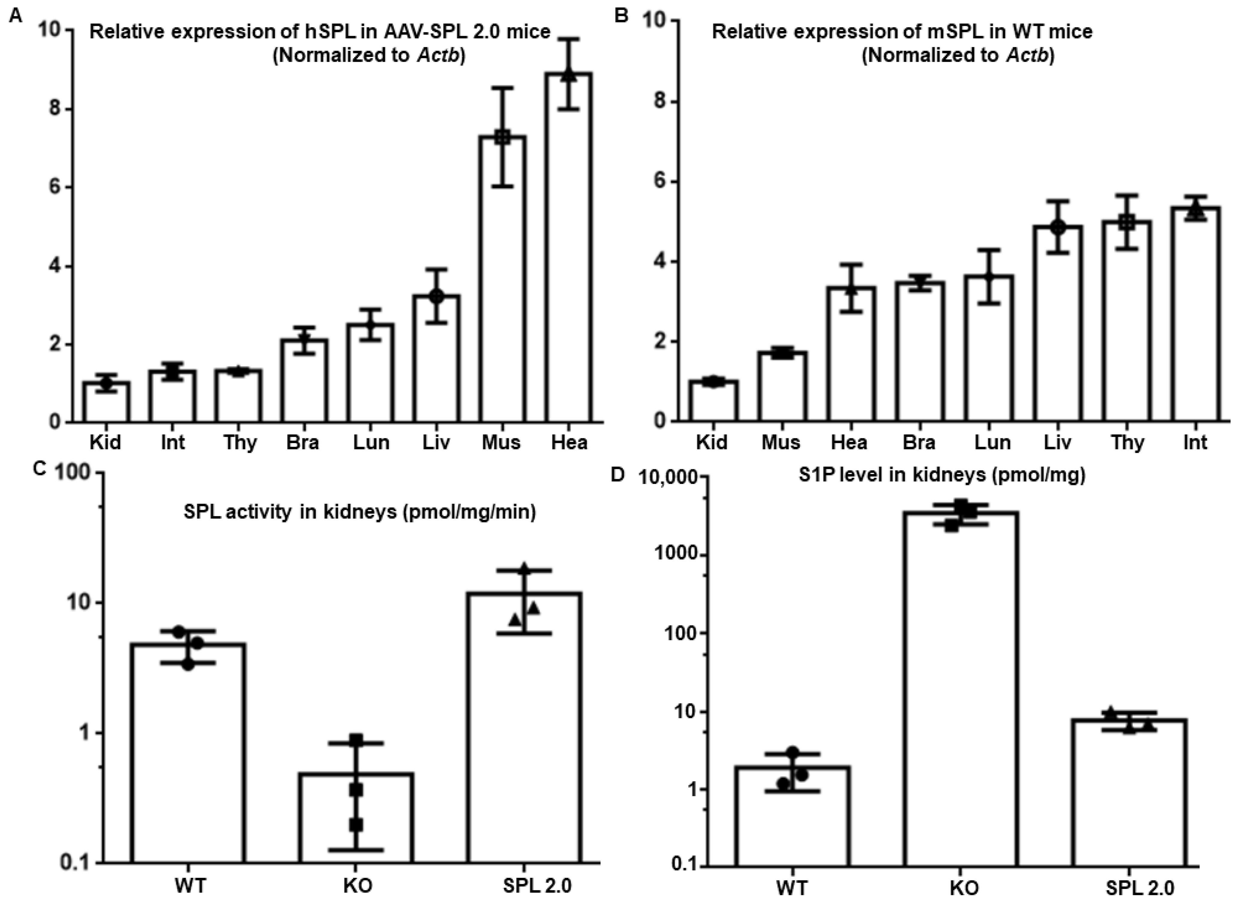 Ijms 24 15560 g007 Ijms 24 15560 g007