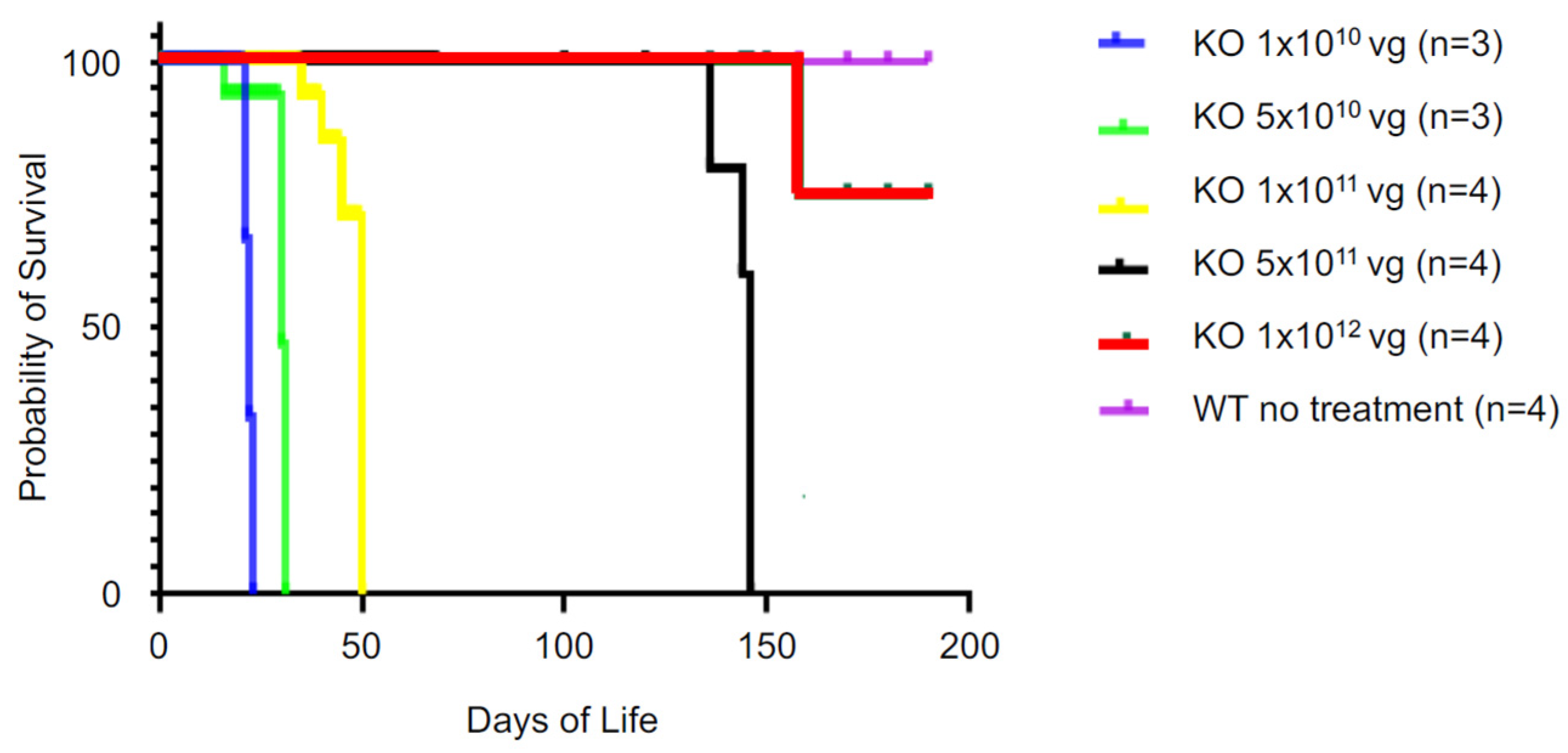Ijms 24 15560 g008 Ijms 24 15560 g008
