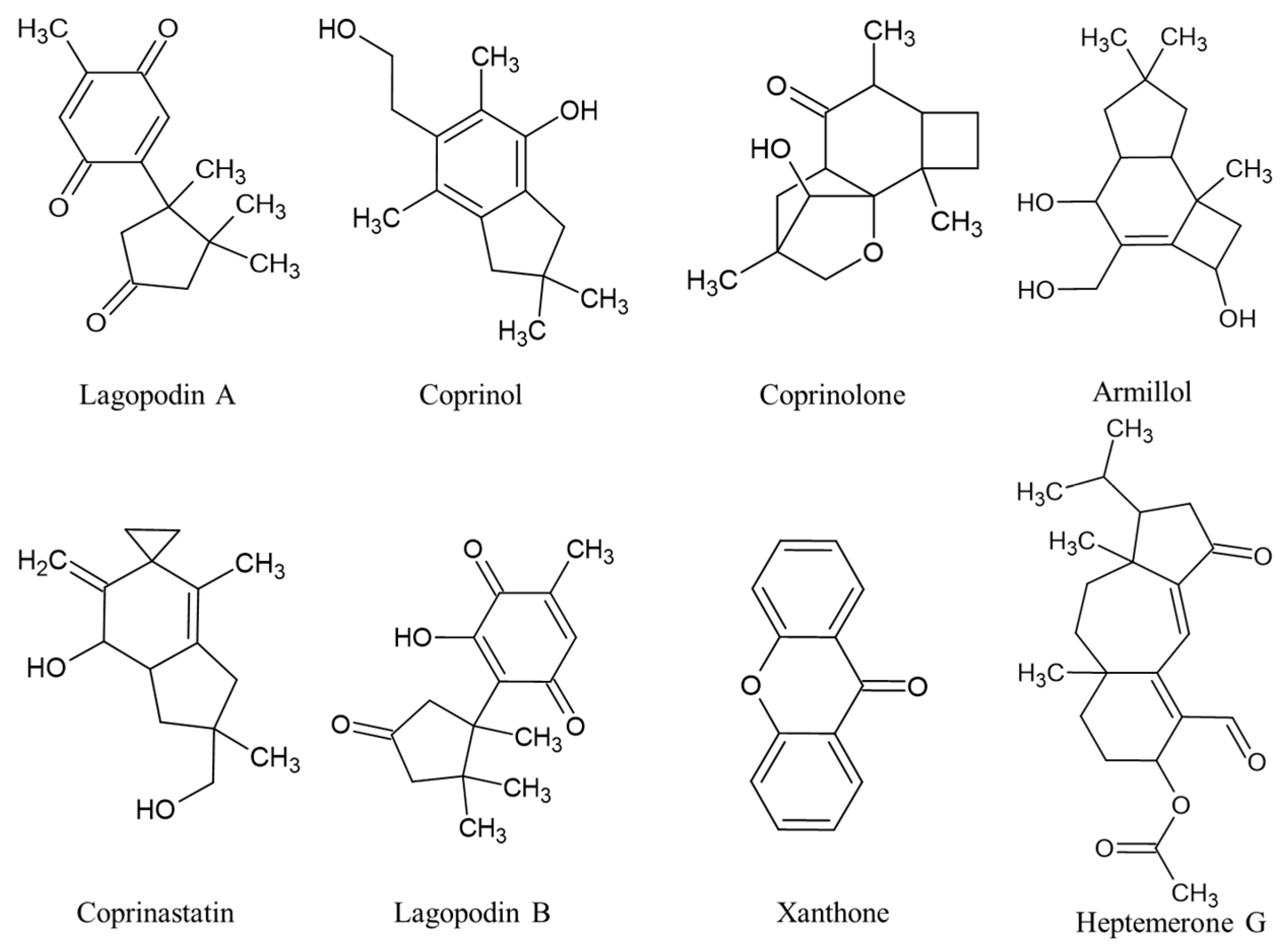 Ijms 24 15596 g003 Ijms 24 15596 g003