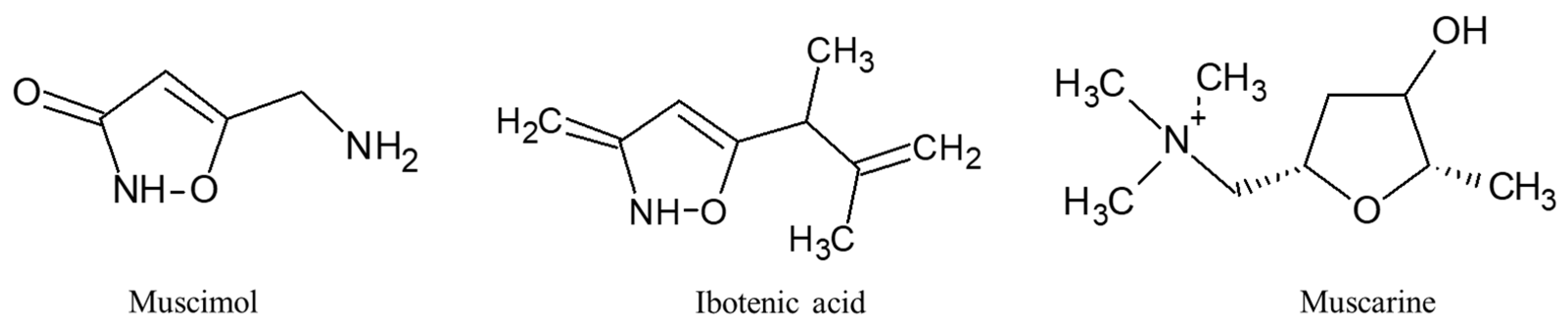 Ijms 24 15596 g005 Ijms 24 15596 g005
