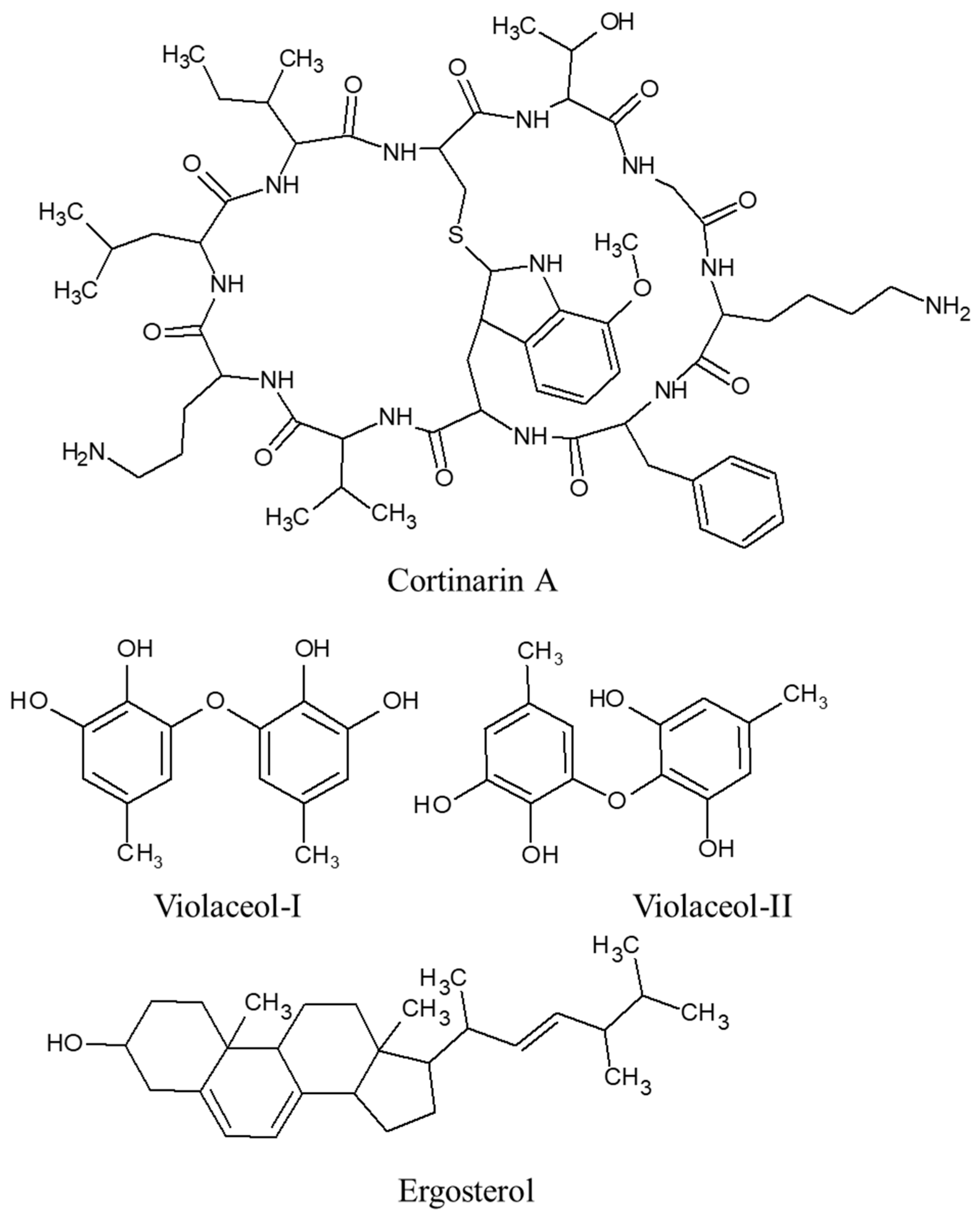 Ijms 24 15596 g006 Ijms 24 15596 g006