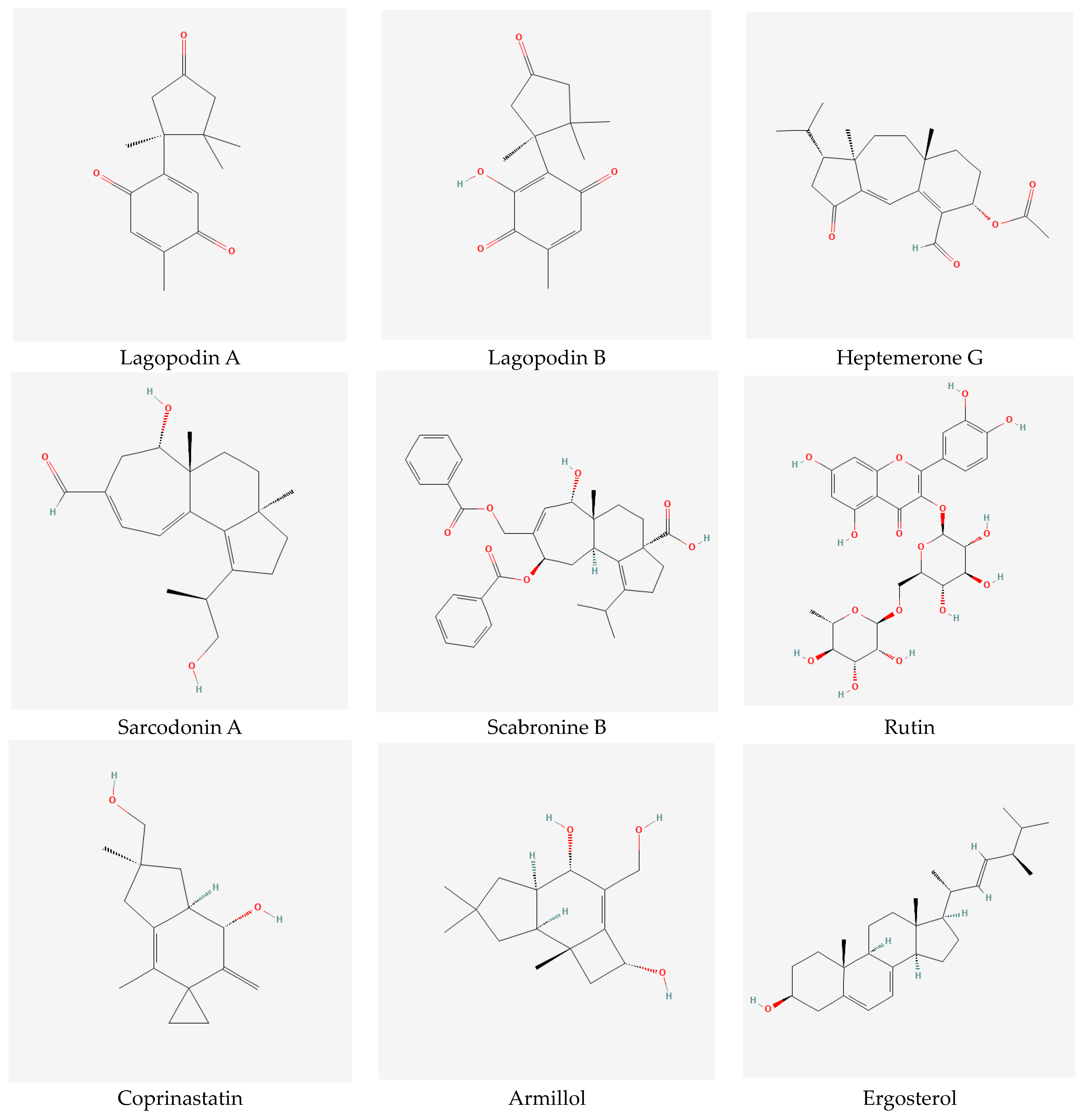 Ijms 24 15596 g008 Ijms 24 15596 g008