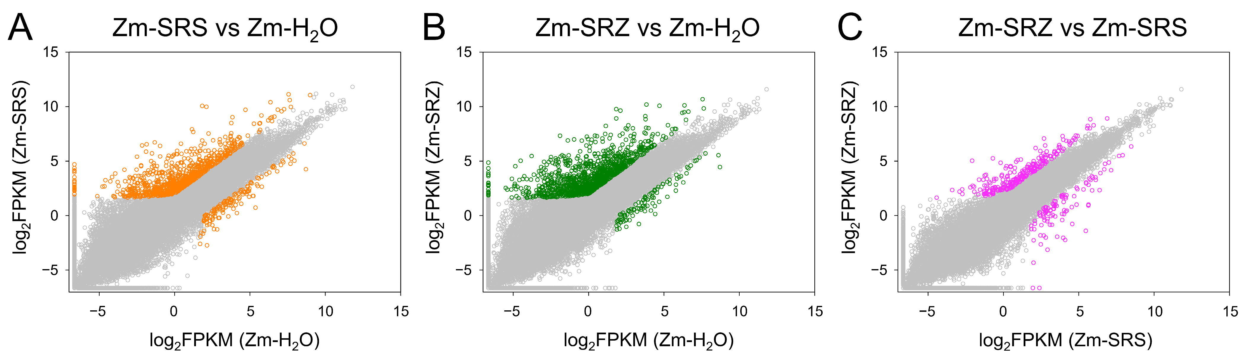 Ijms 24 15604 g002 Ijms 24 15604 g002