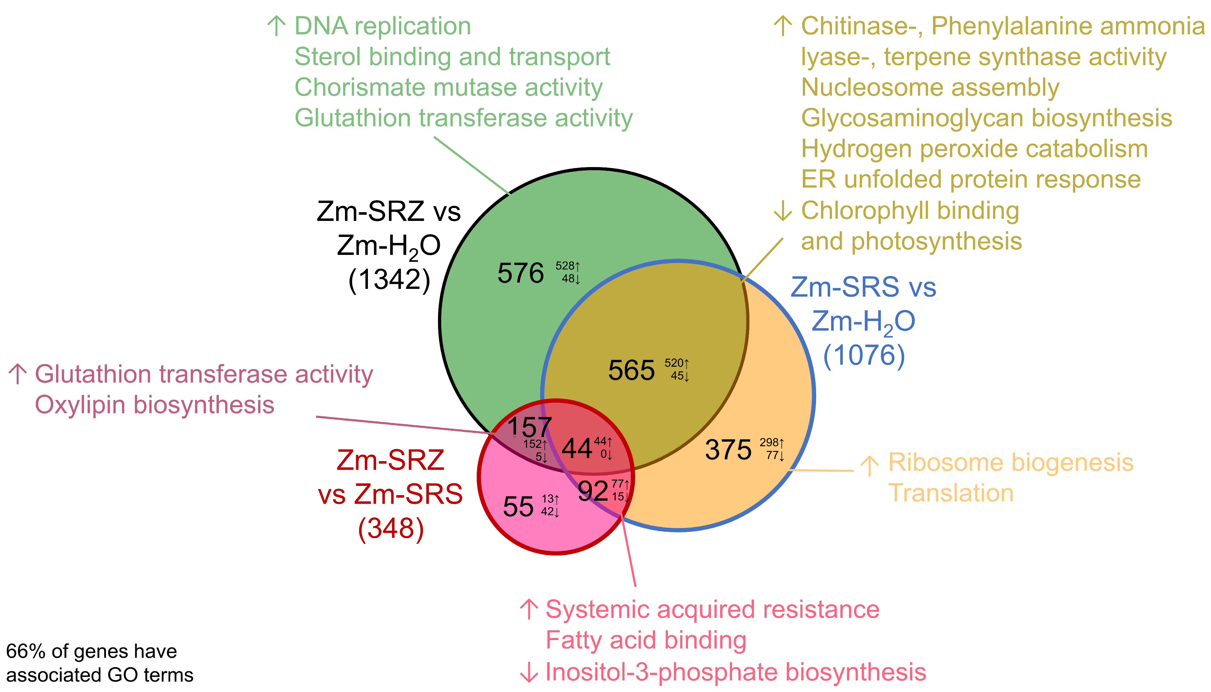 Ijms 24 15604 g003 Ijms 24 15604 g003